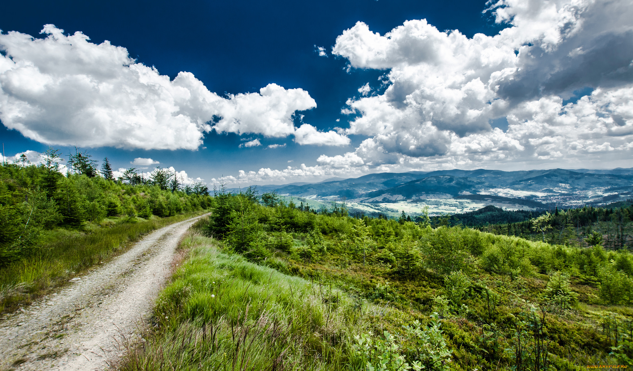 природа, дороги, тракт