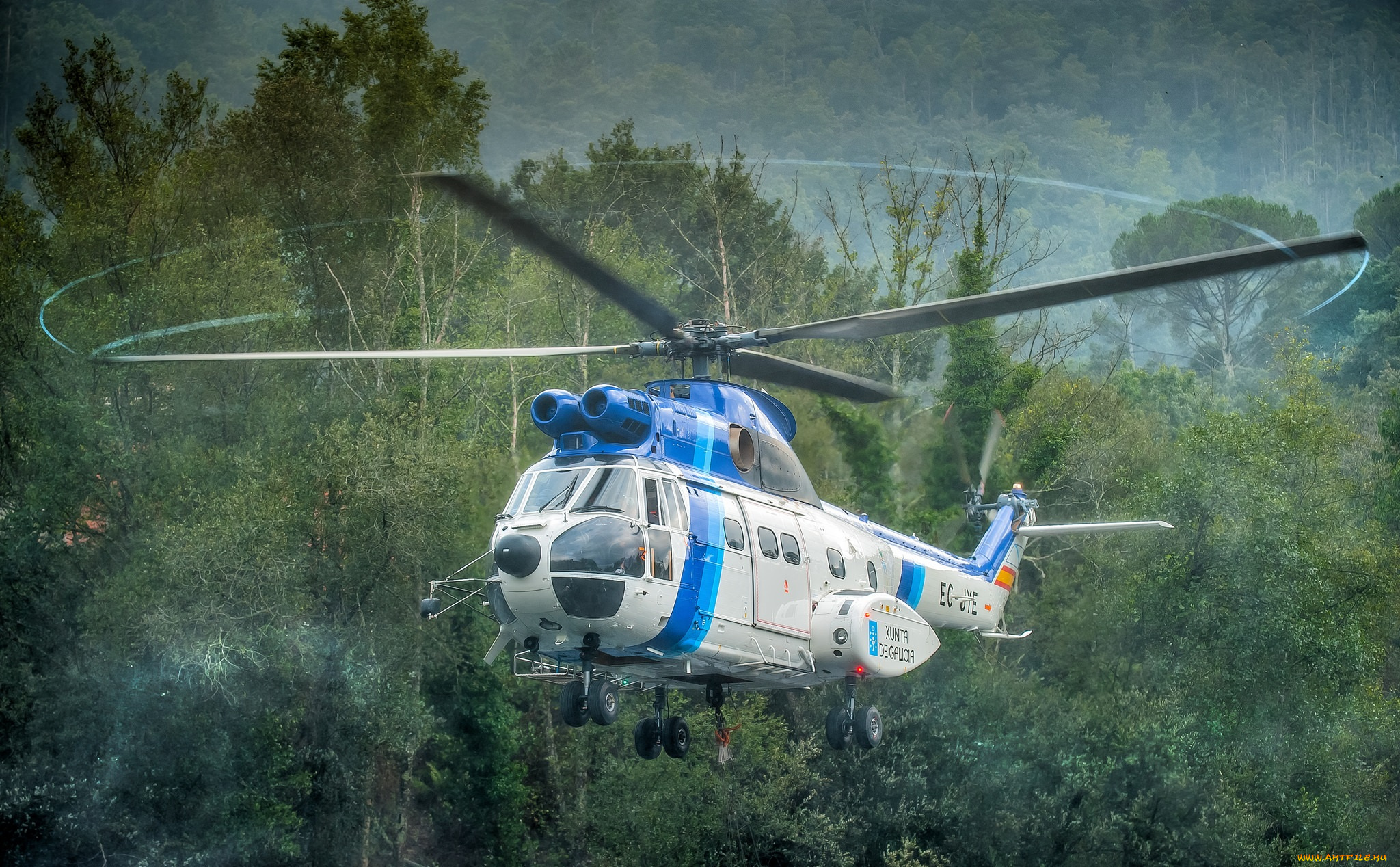 puma, авиация, вертолёты, вертушка