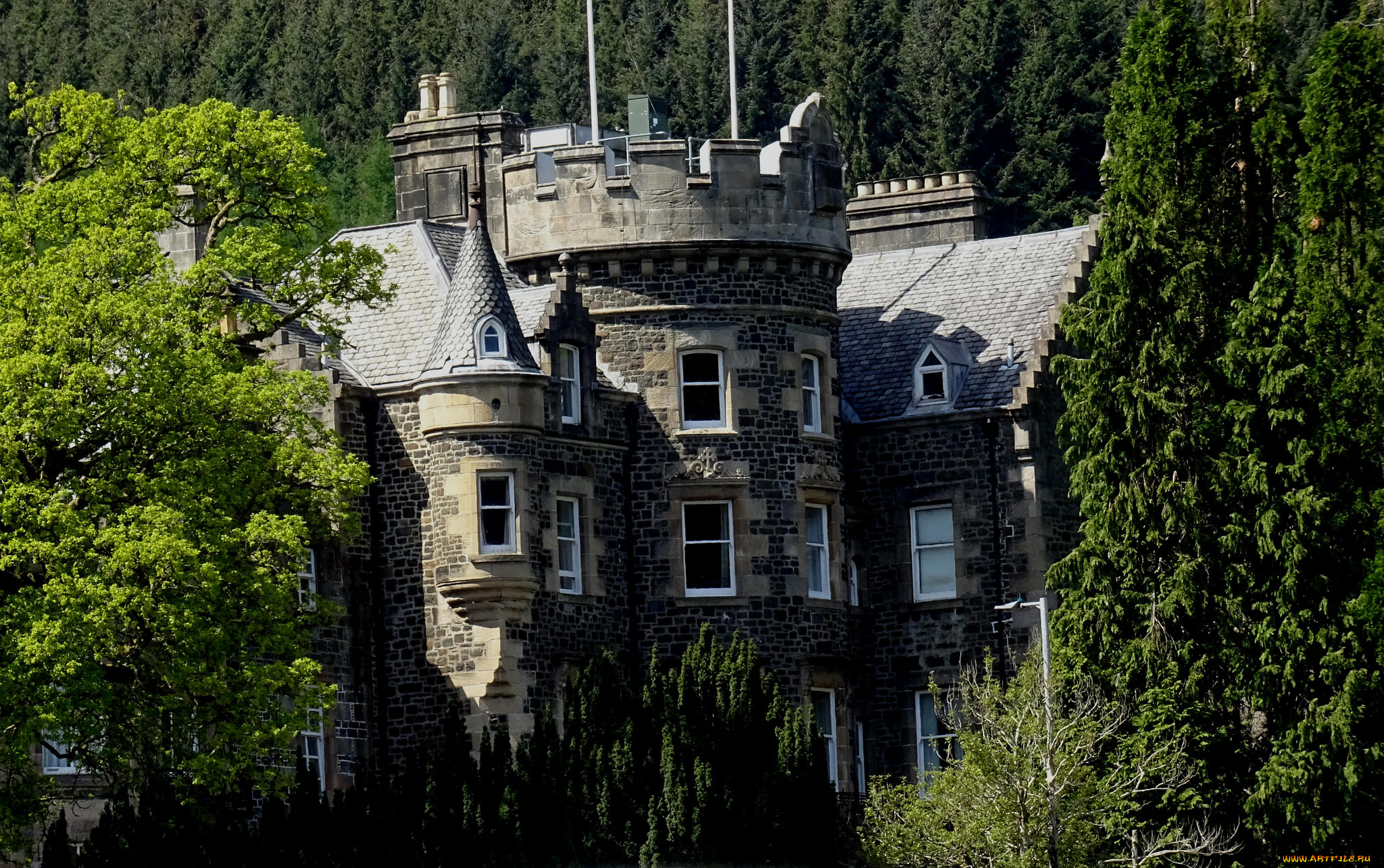 loch, lomond, castle, города, -, дворцы, , замки, , крепости, простор