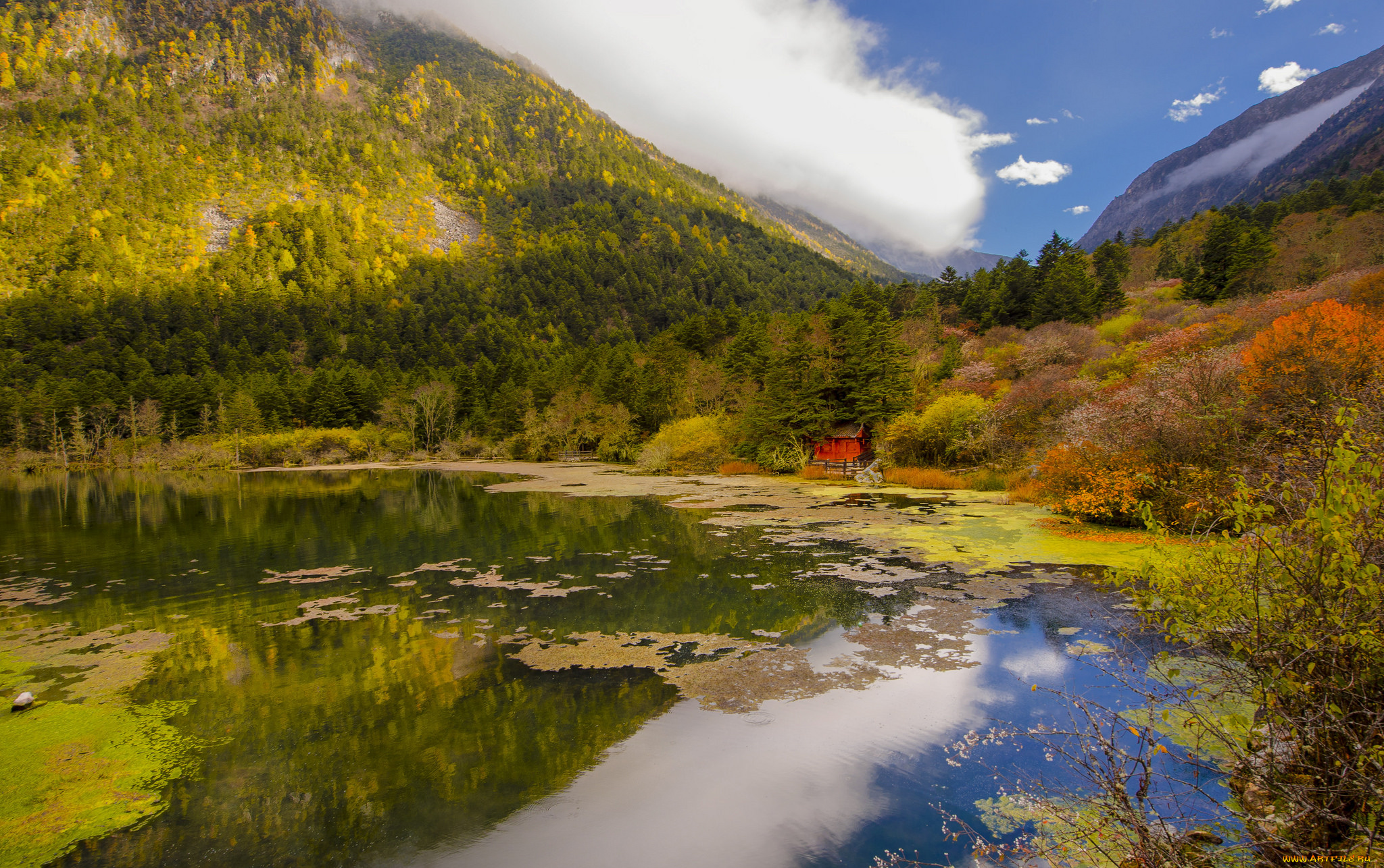 природа, реки, озера, лес, река