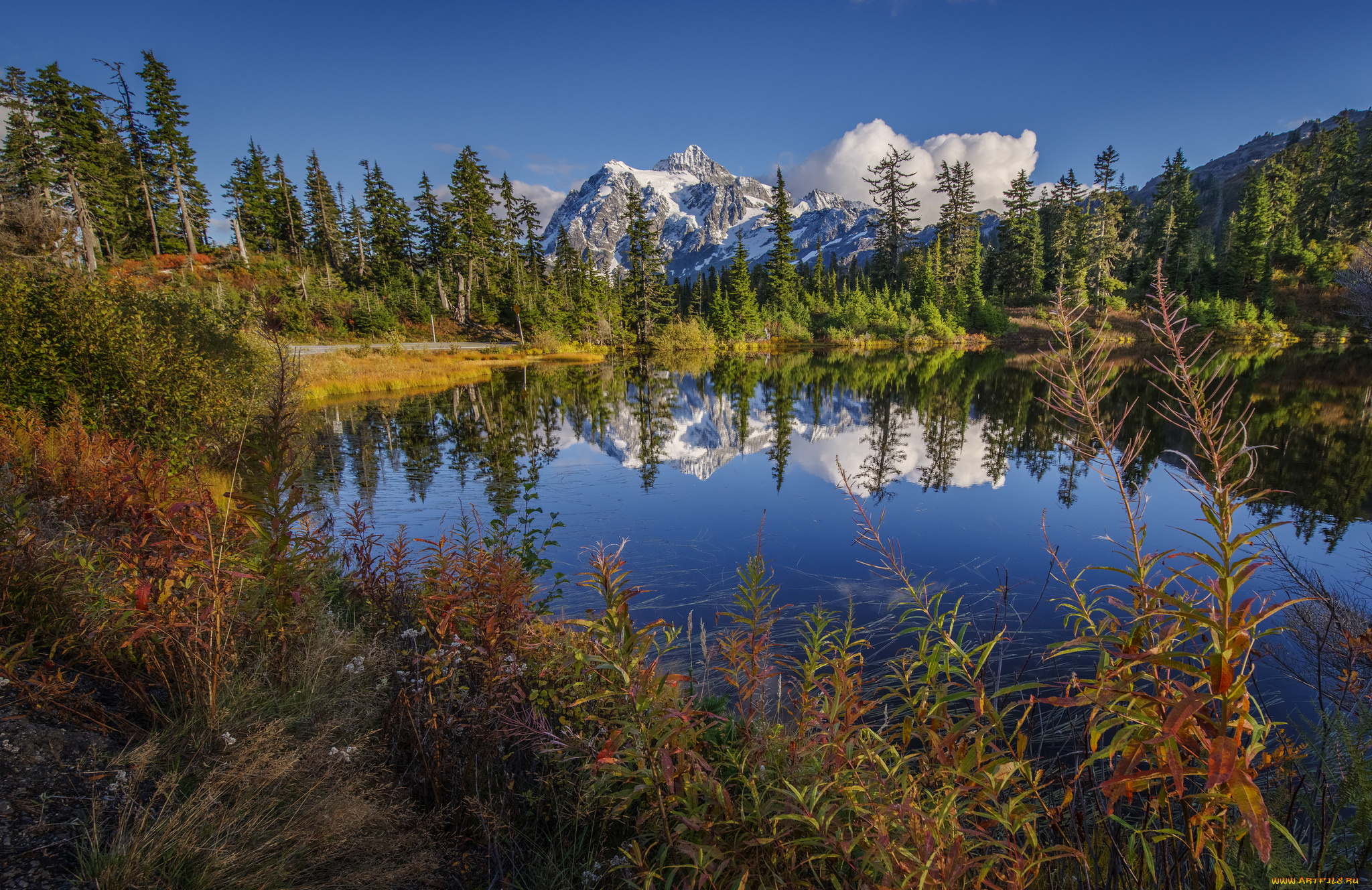 природа, реки, озера, лес, река