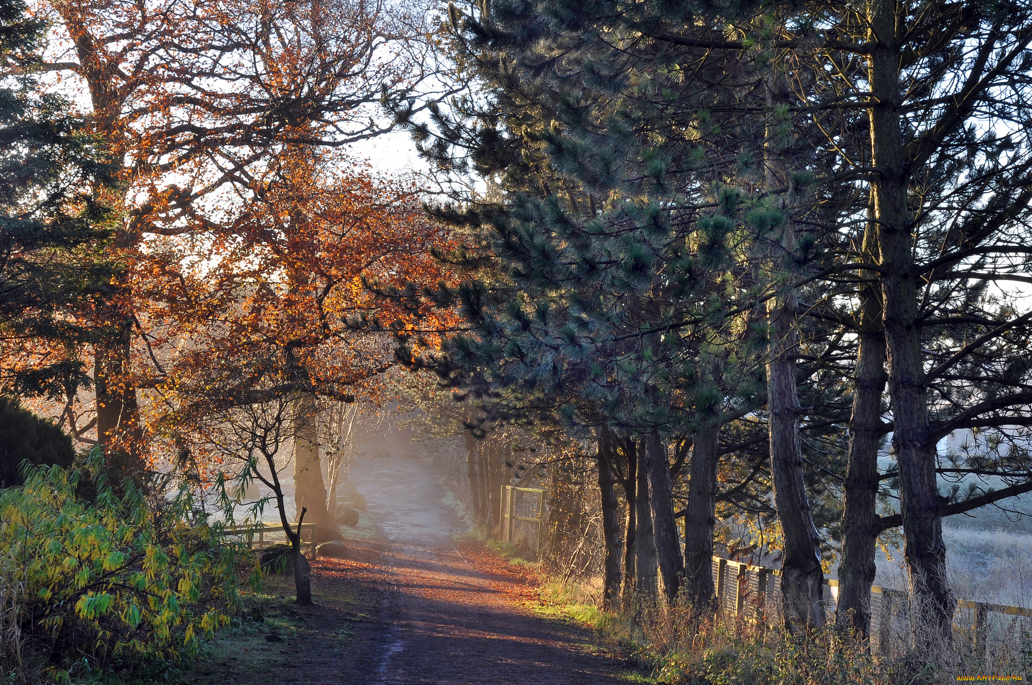 природа, дороги, тракт