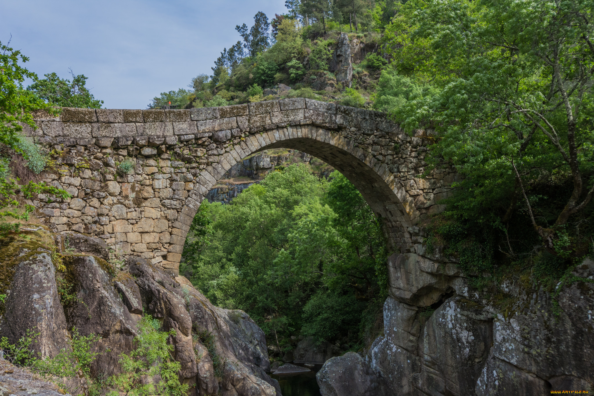 природа, горы, простор