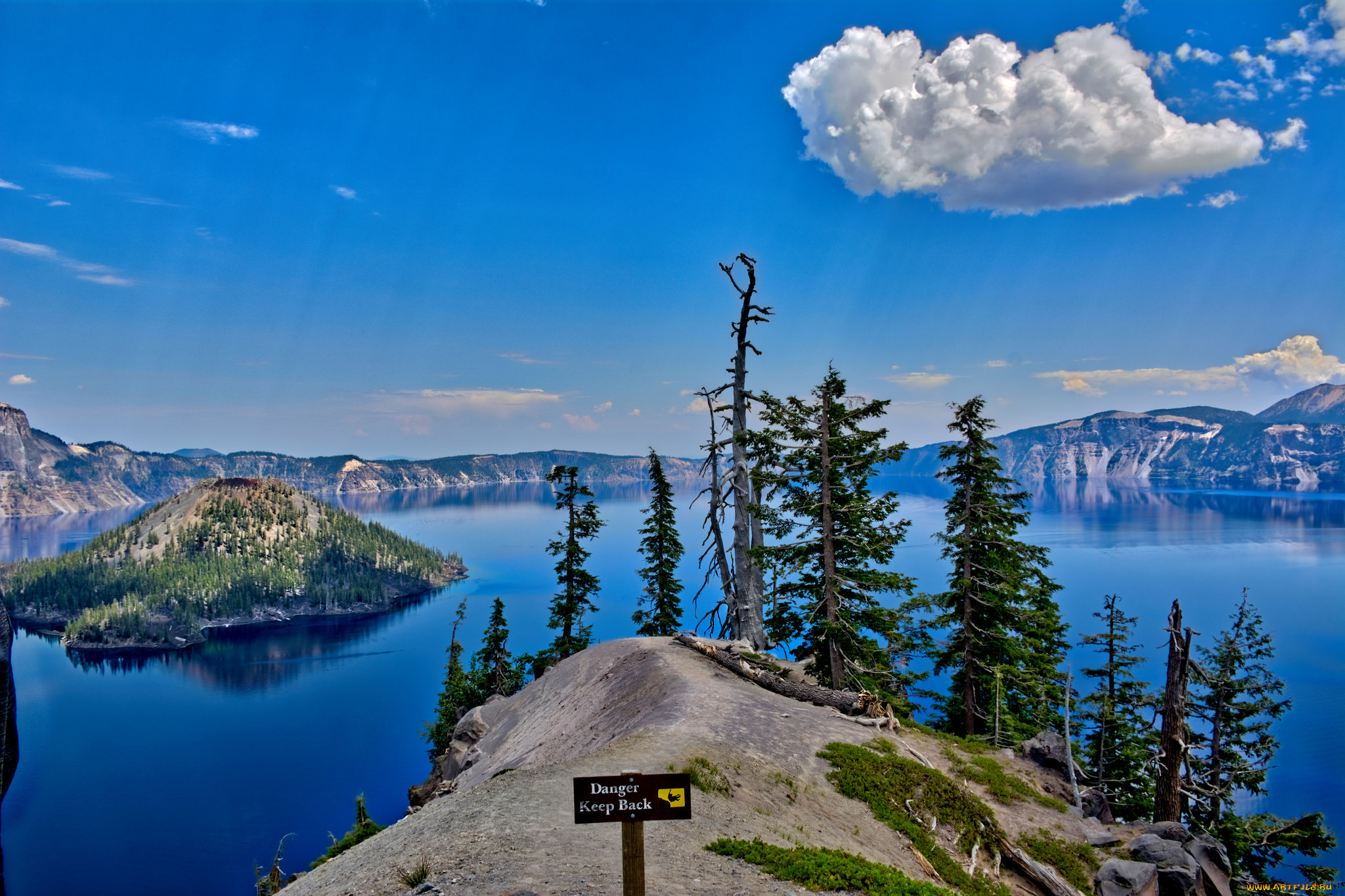 природа, реки, озера, лес, река