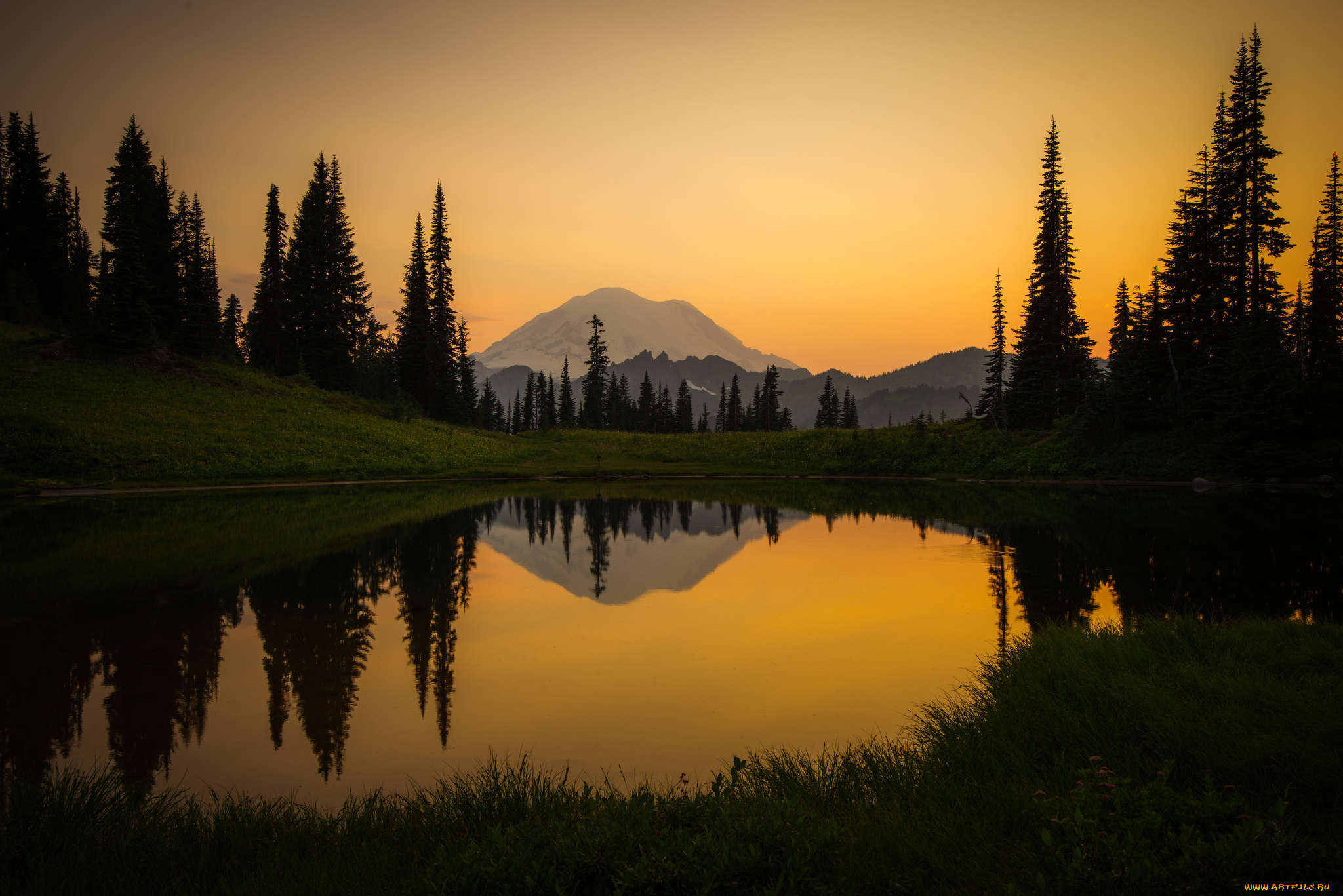 природа, реки, озера, лес, река