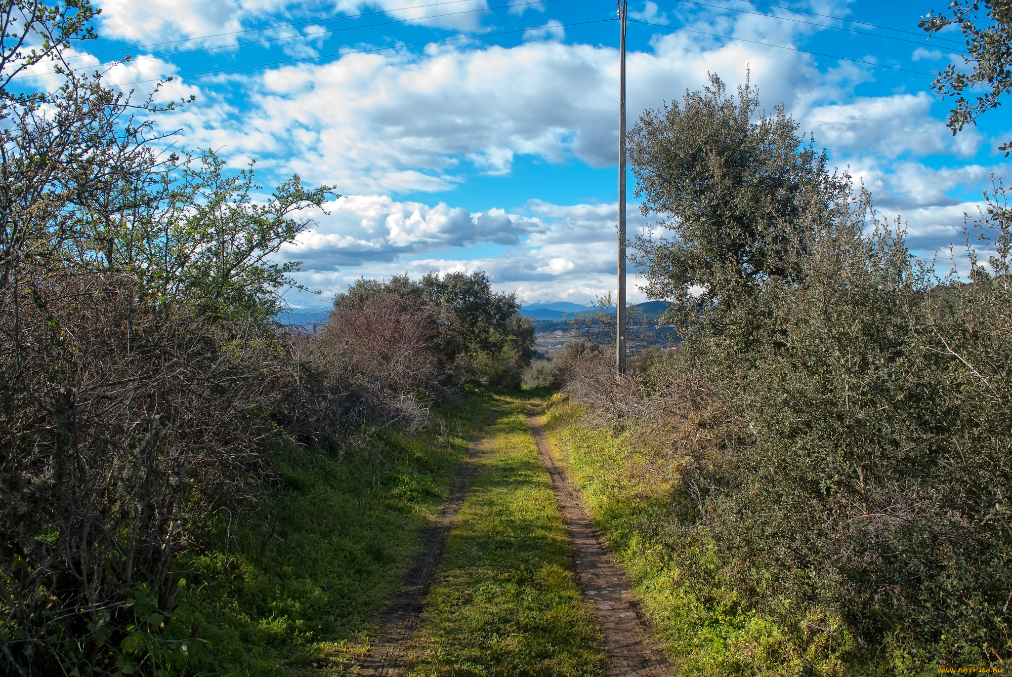 природа, дороги, тракт