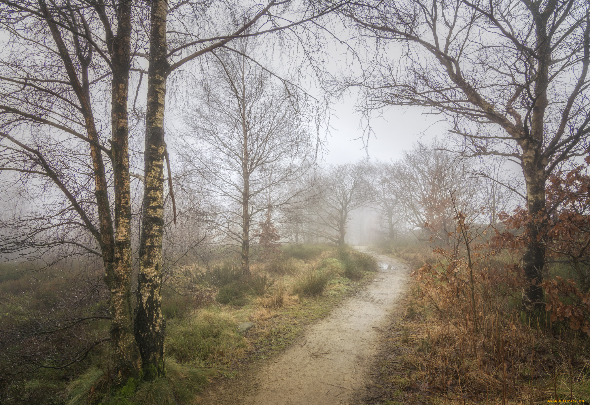 природа, дороги, тракт