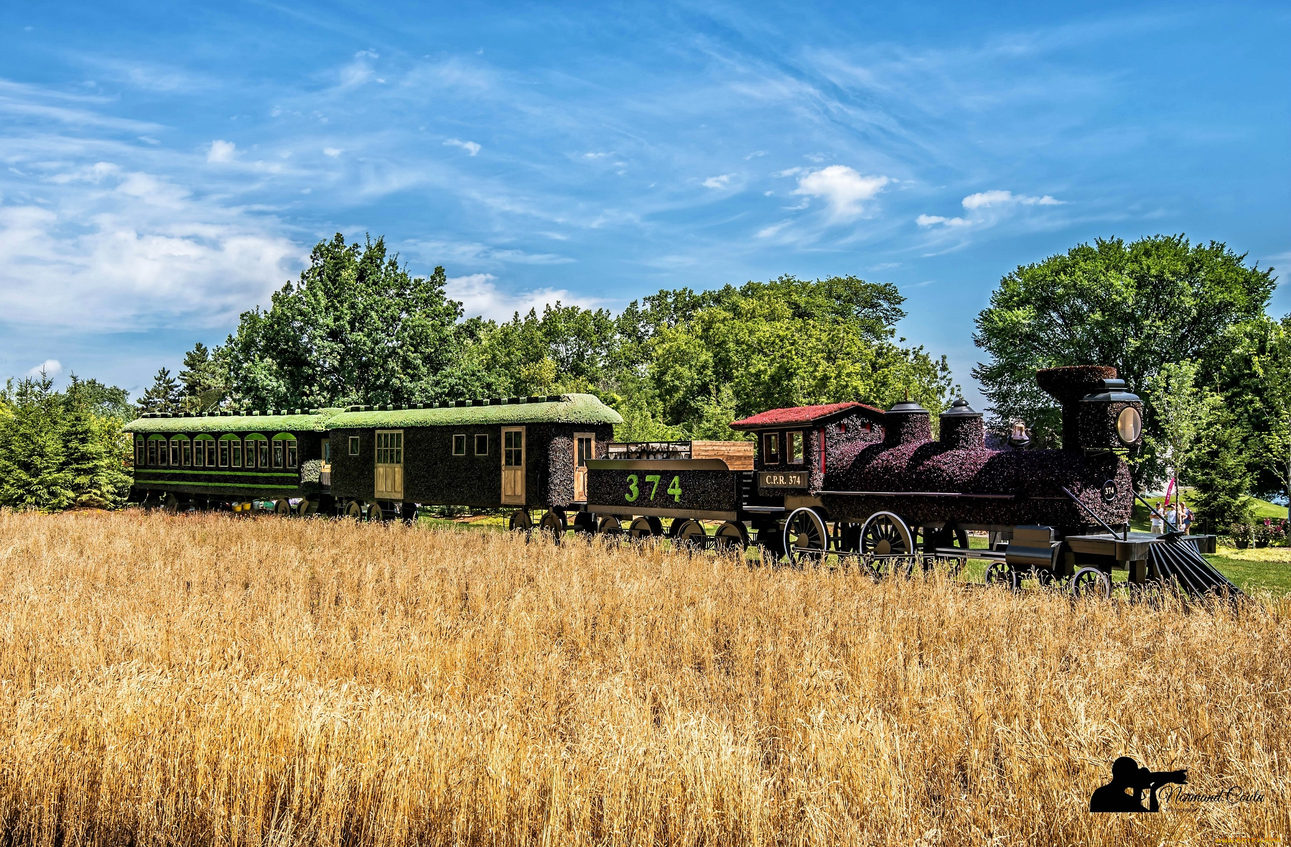 разное, садовые, и, парковые, скульптуры, пейзаж, природа, фигура, цветочная, скульптура, парк, красиво