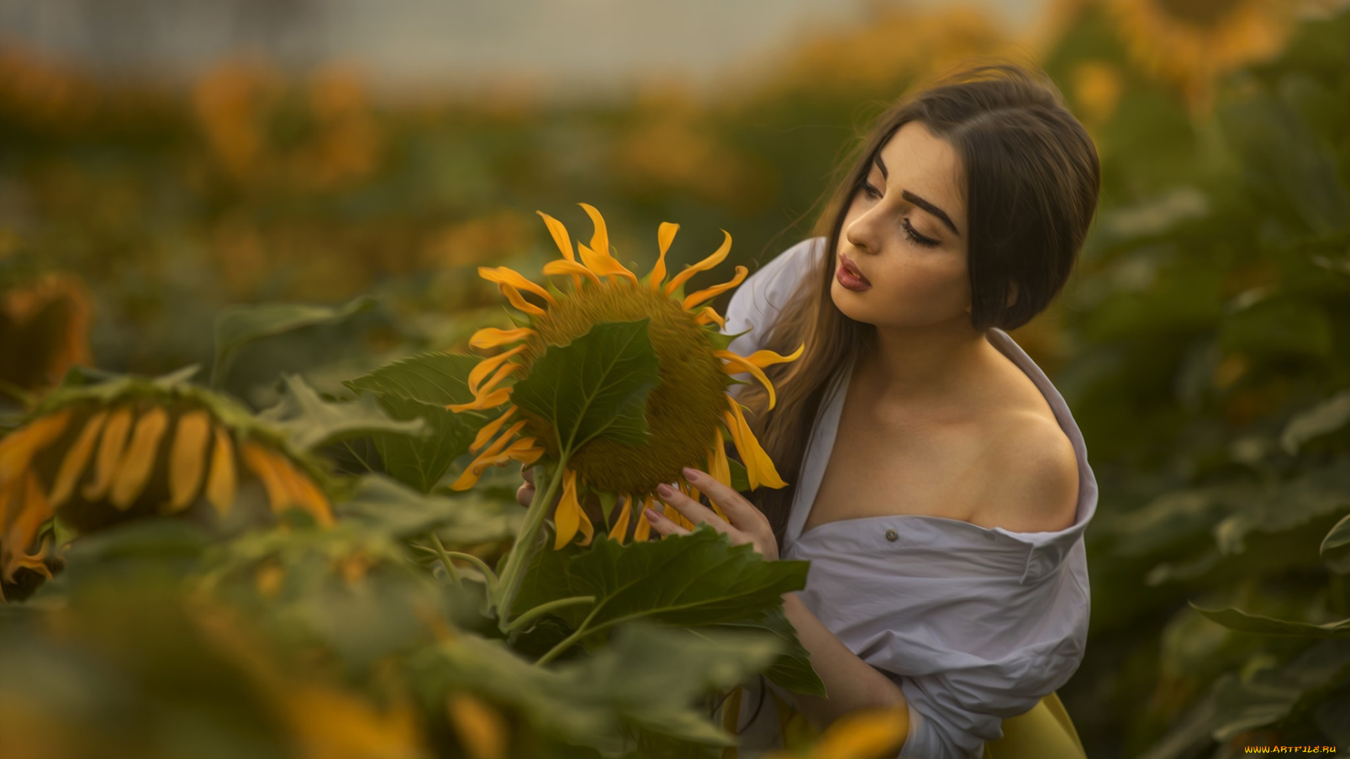 девушка, девушки, -unsort, , брюнетки, темноволосые, модель