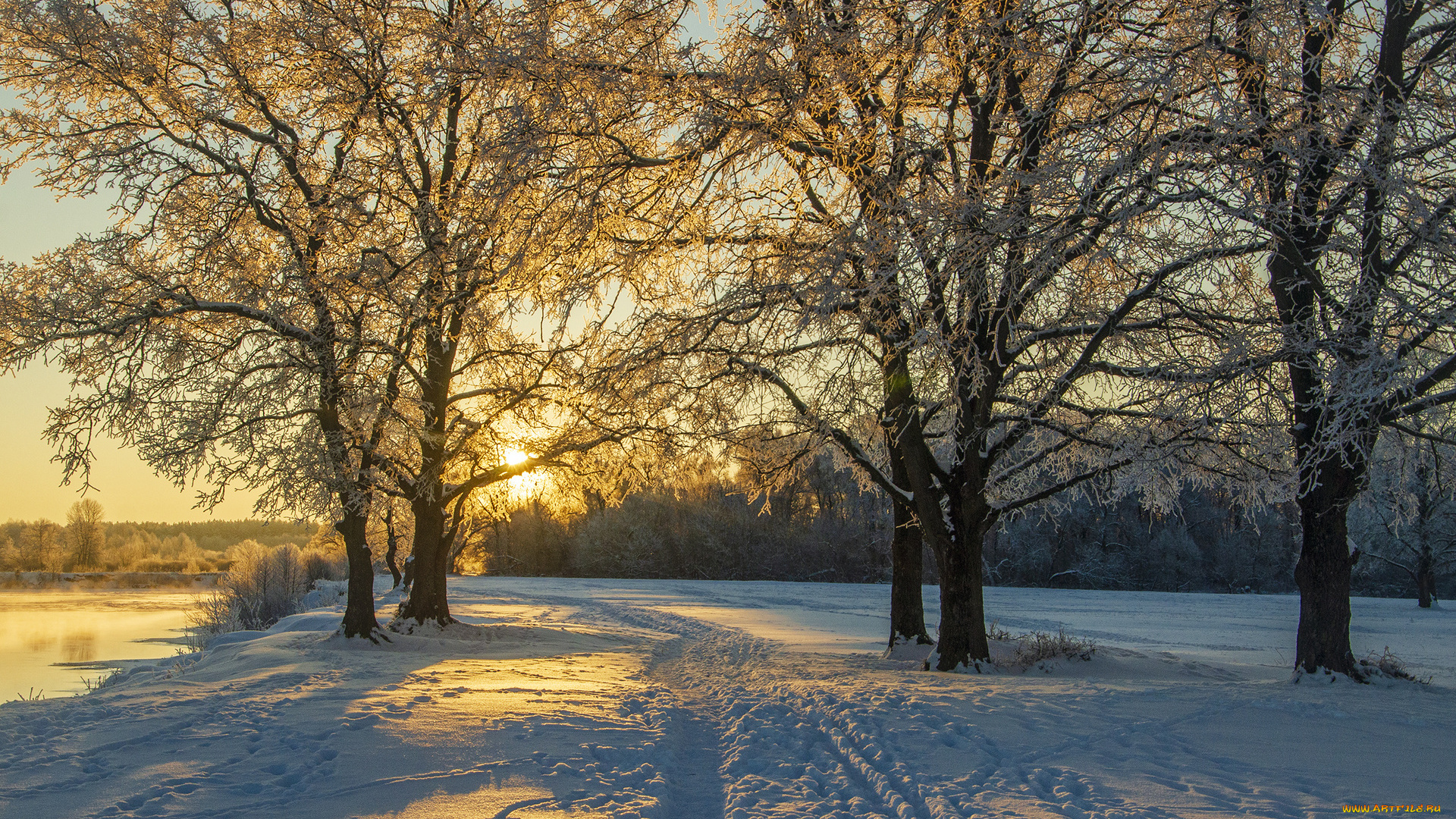 природа, зима, солнце, тропинка, снег, деревья, берег, десна, река, пейзаж, брянск