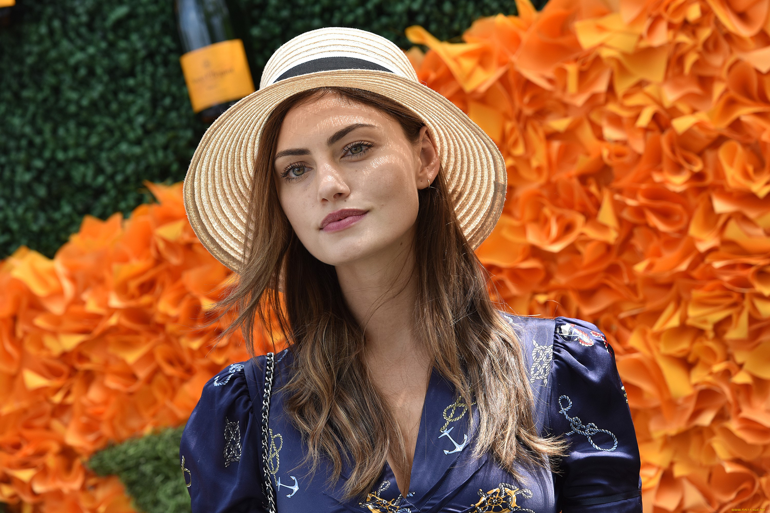 девушки, phoebe, tonkin, лицо, шляпа, актриса