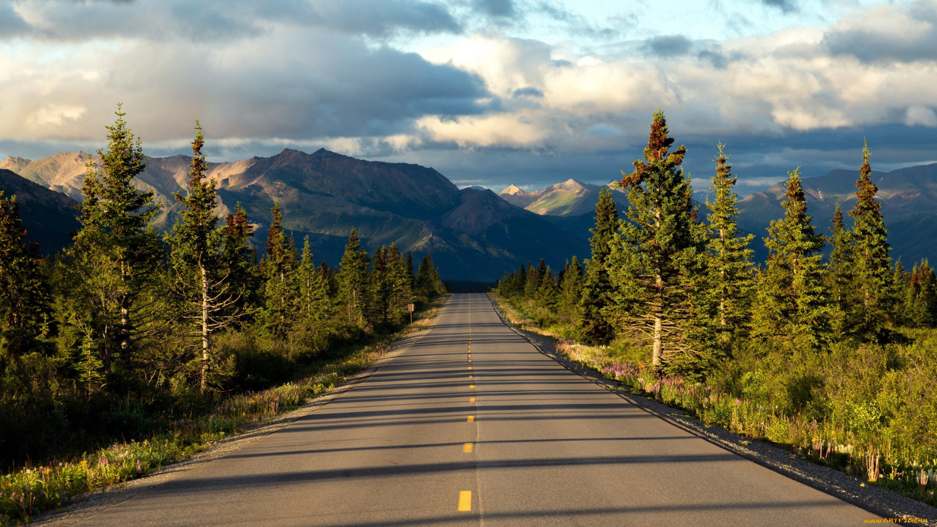 природа, дороги, шоссе