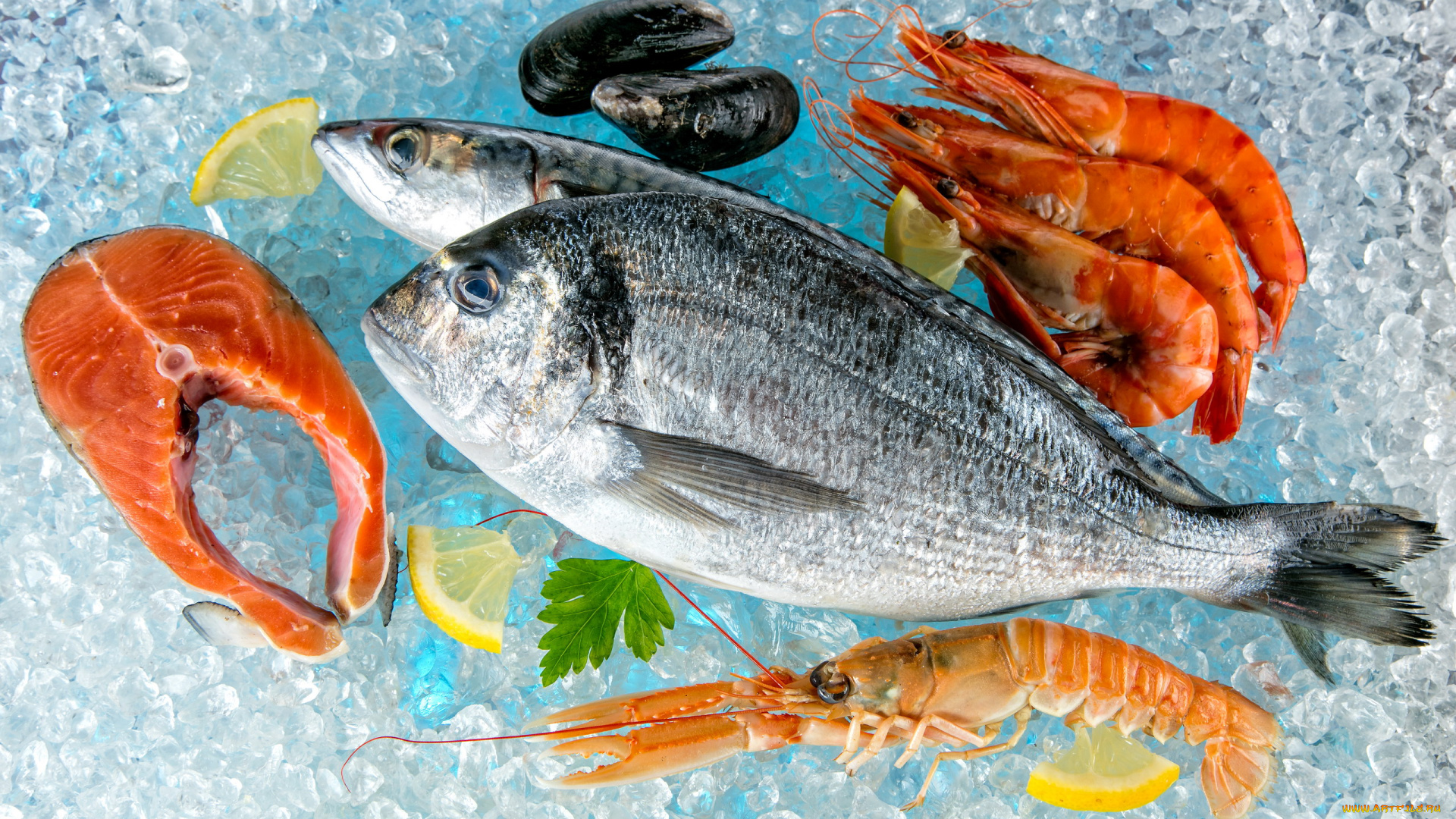 еда, рыба, , морепродукты, , суши, , роллы, лед, форель, мидии, креветки, лимон