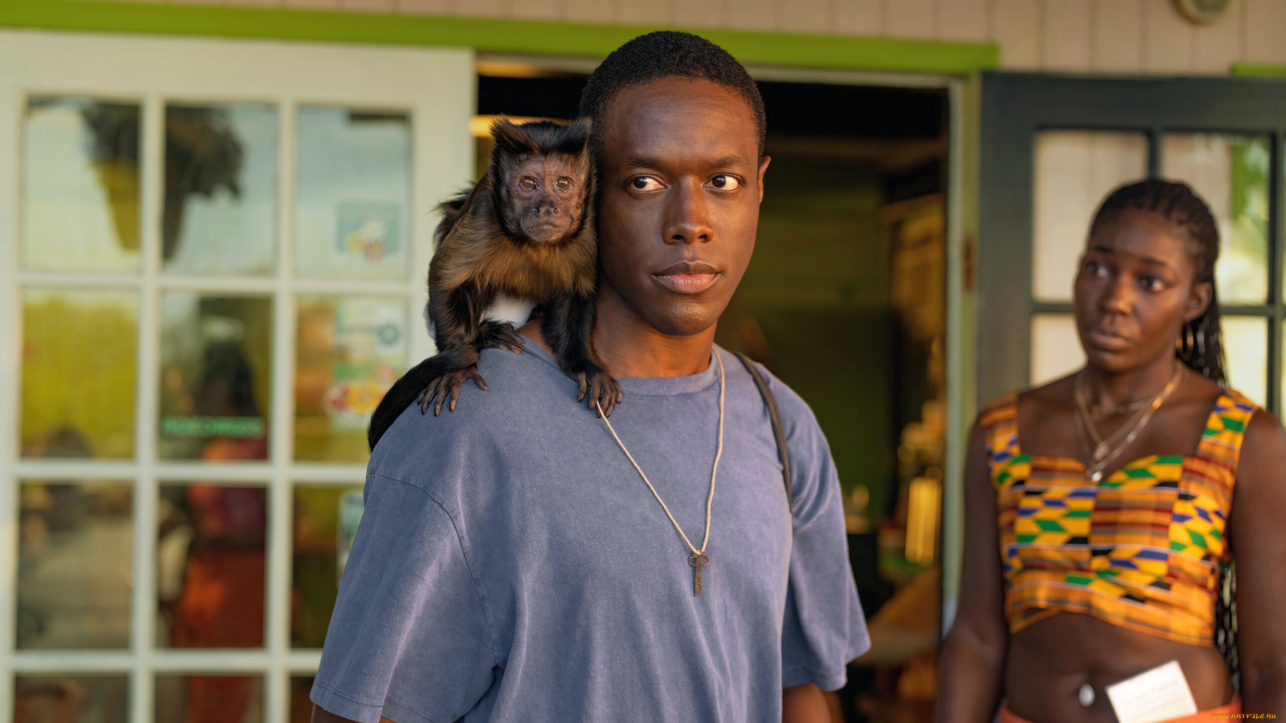 bad, monkey, , сериал, 2024, –, , кино, фильмы, -unknown, , другое, плохая, обезьяна, сериал, bad, monkey, apple, tv, plus, комедия, детектив, криминал, ronald, peet, кадры, из, фильма