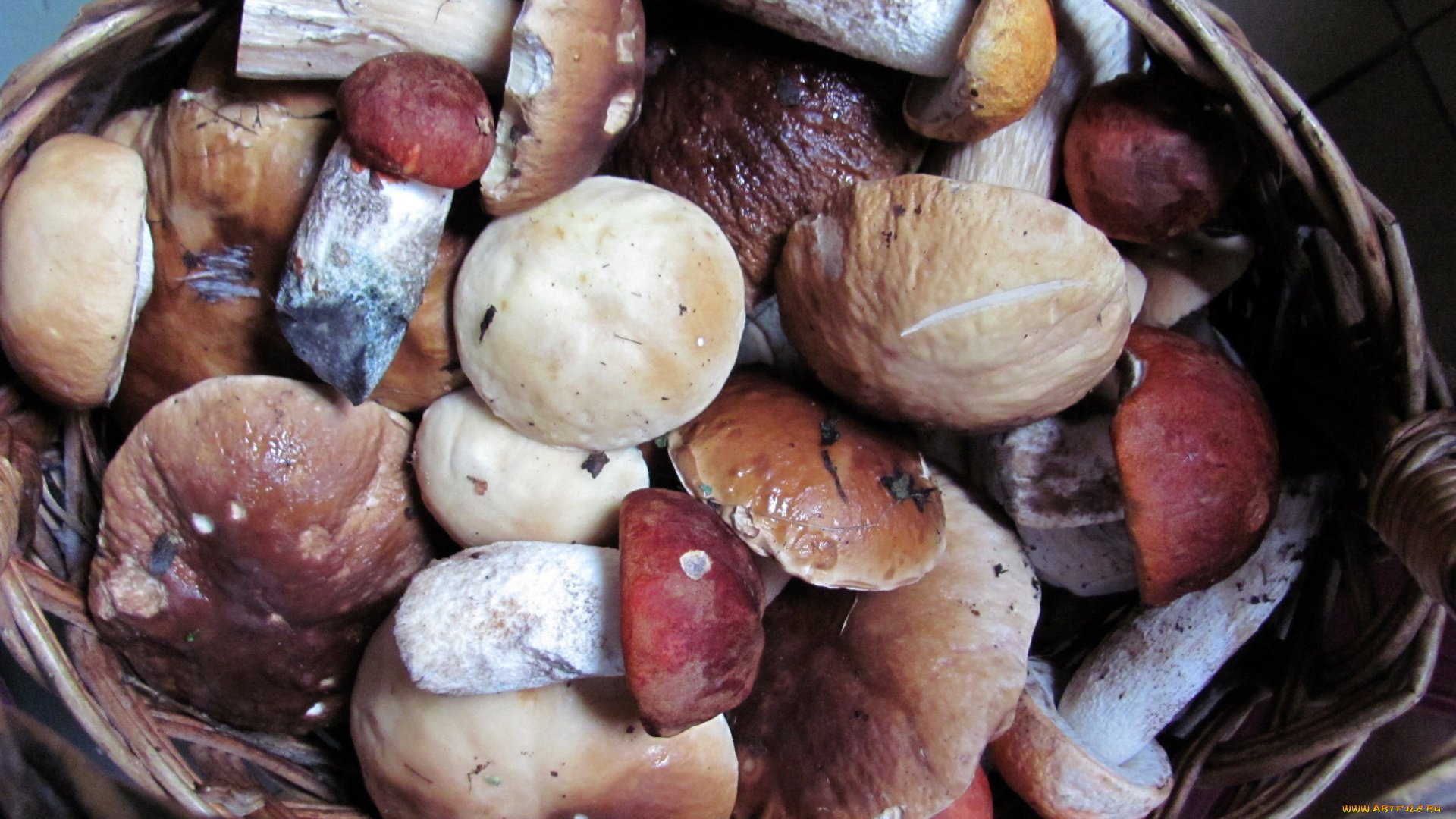 еда, грибы, , грибные, блюда, лесные, боровики, подосиновики