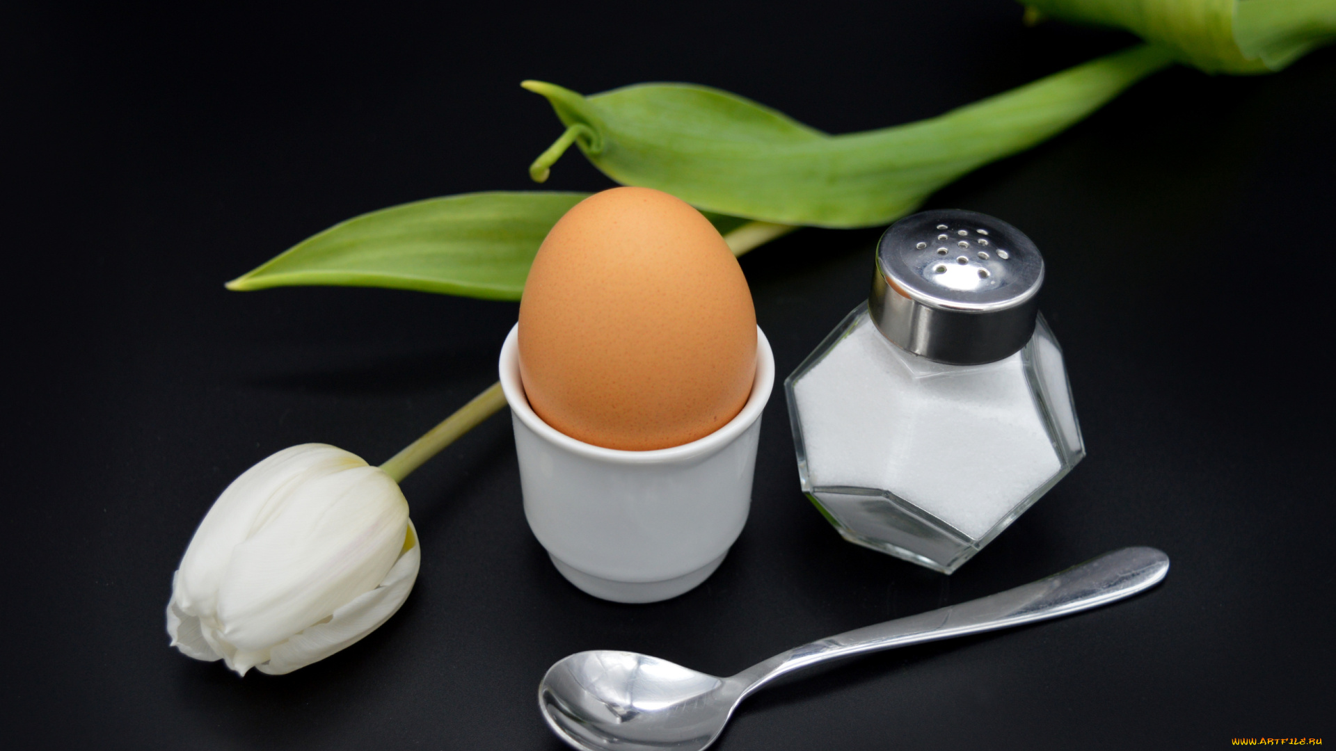 еда, яйца, тюльпан, солонка, яйцо