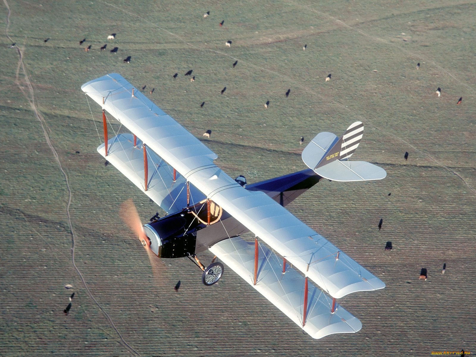 авиация, лёгкие, одномоторные, самолёты