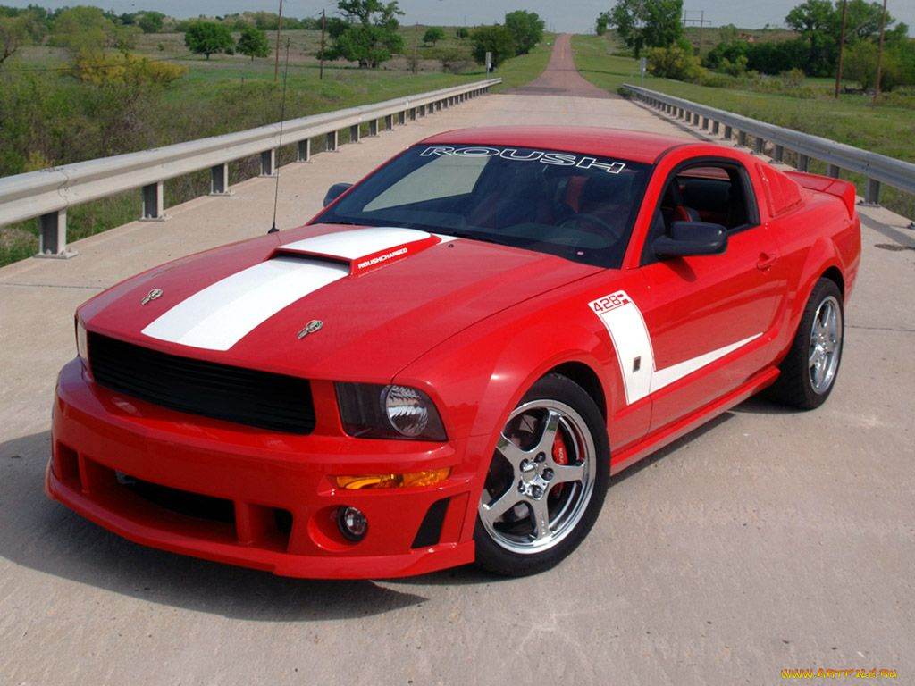 2008, roush, 428r, mustang, автомобили, ford