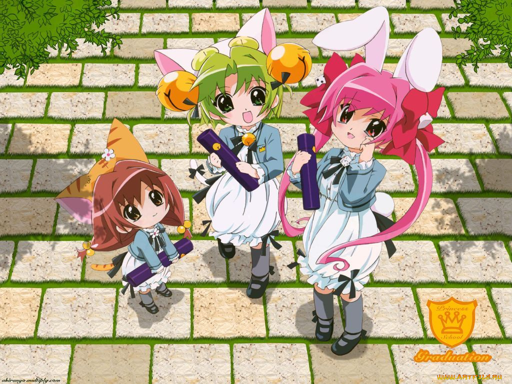 аниме, di, gi, charat