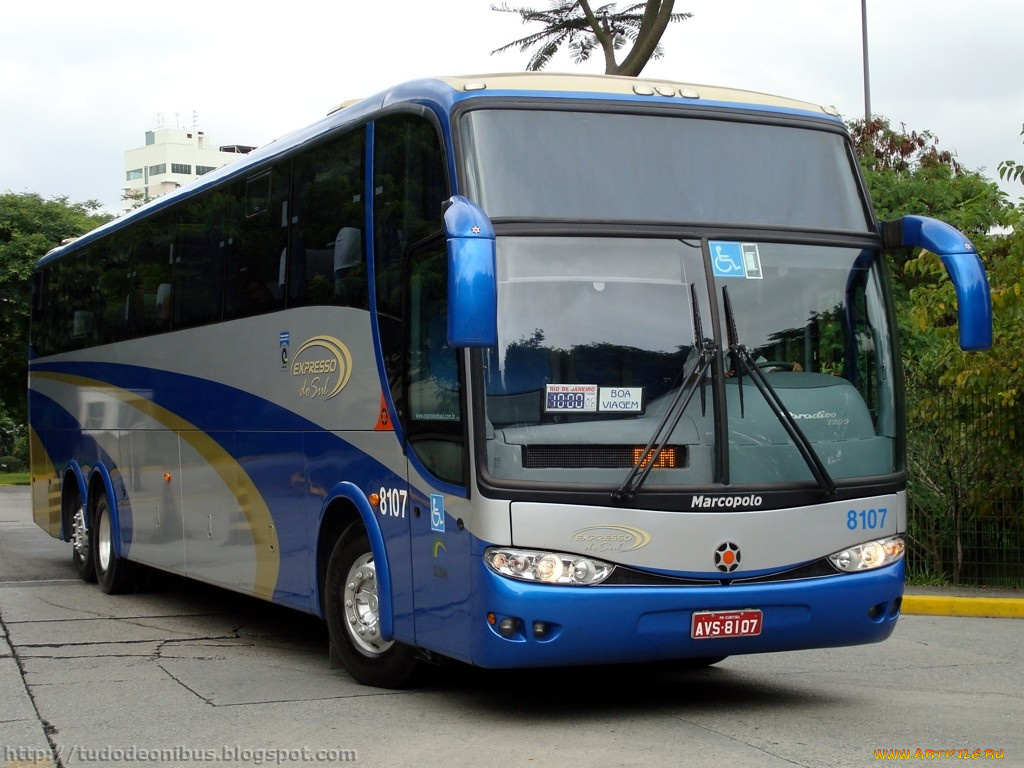 автомобили, автобусы