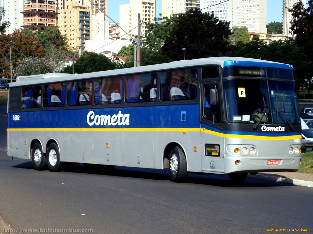 автомобили, автобусы