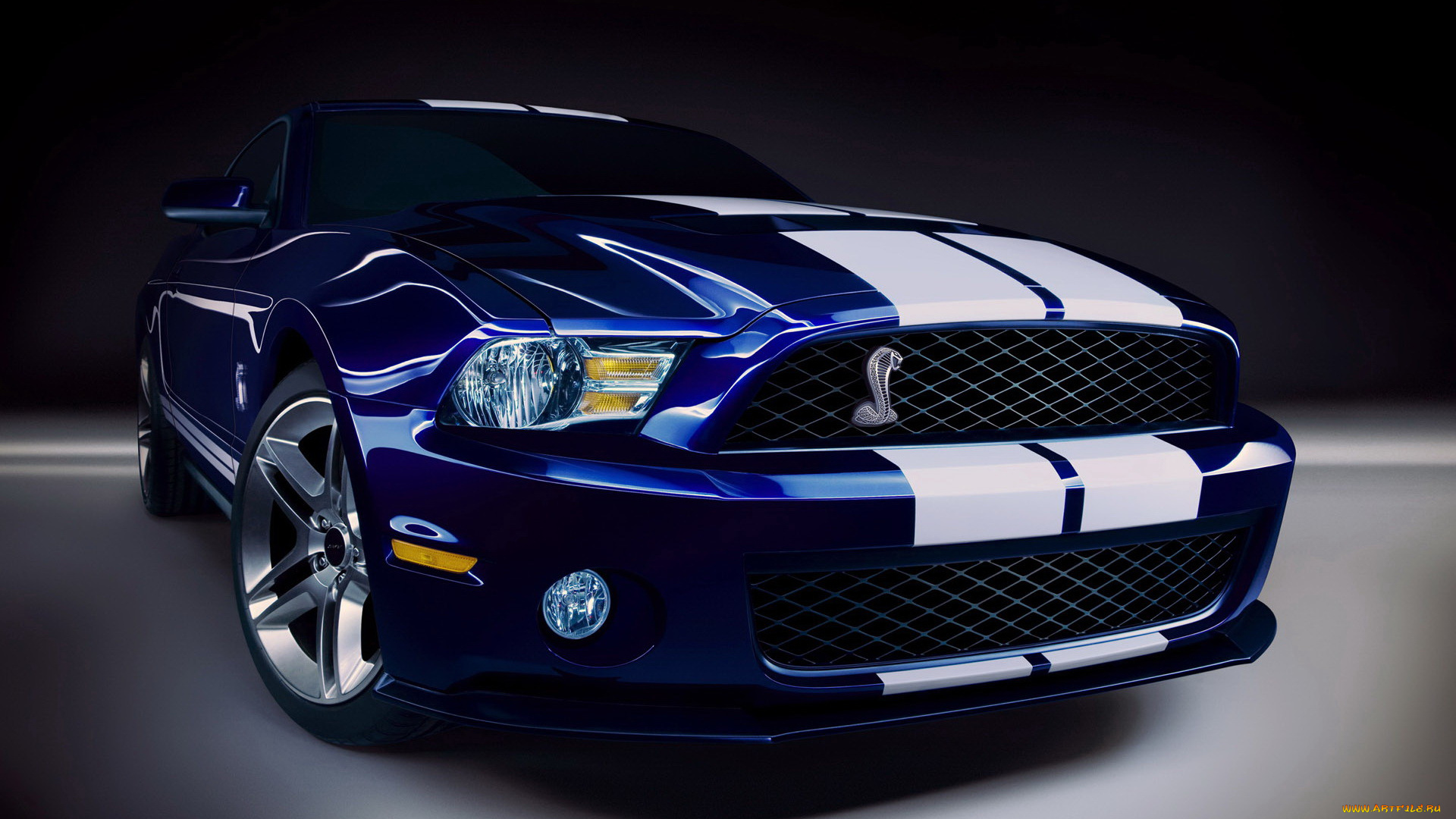 2010, ford, shelby, gt500, автомобили