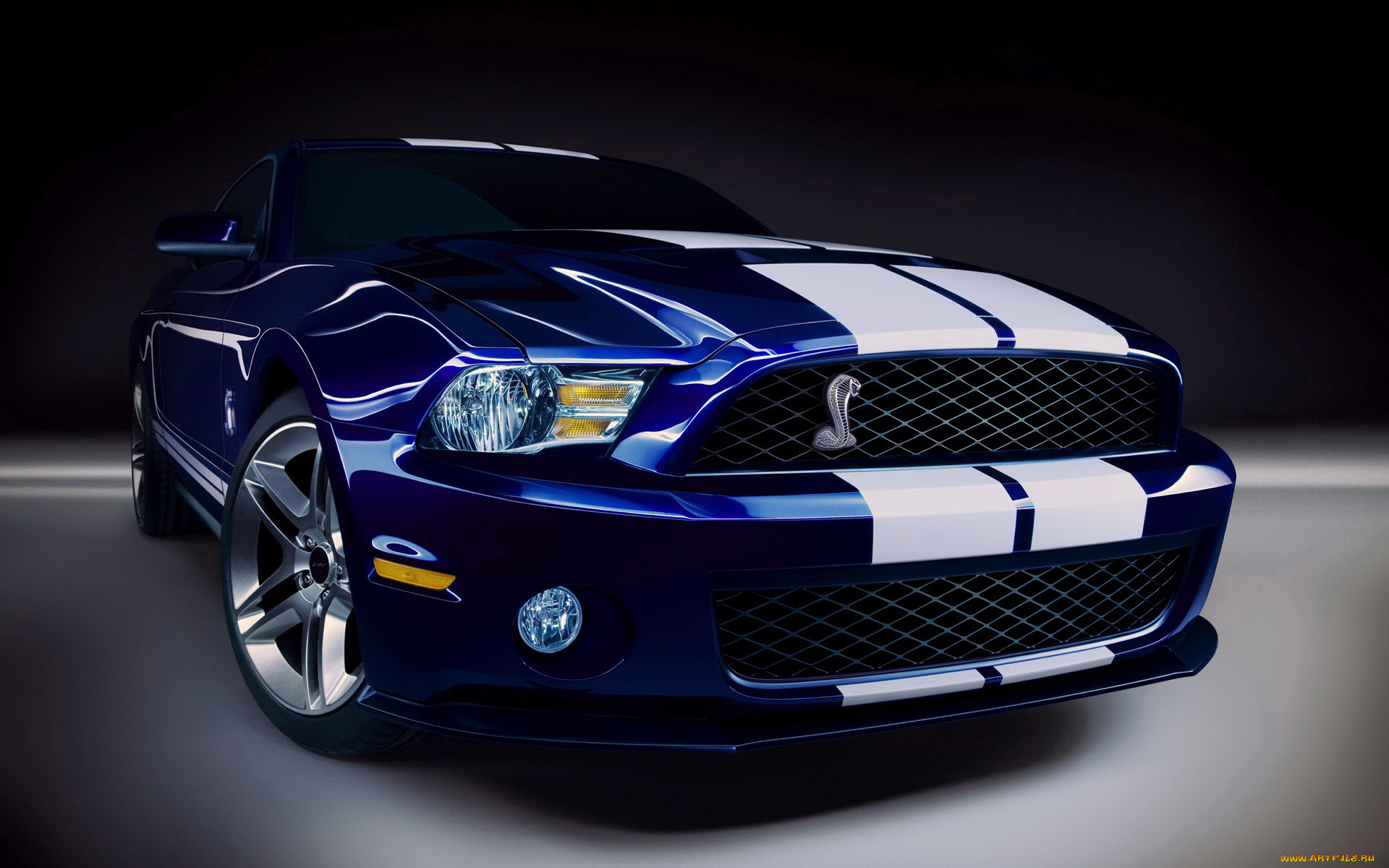 2010, ford, shelby, gt500, автомобили