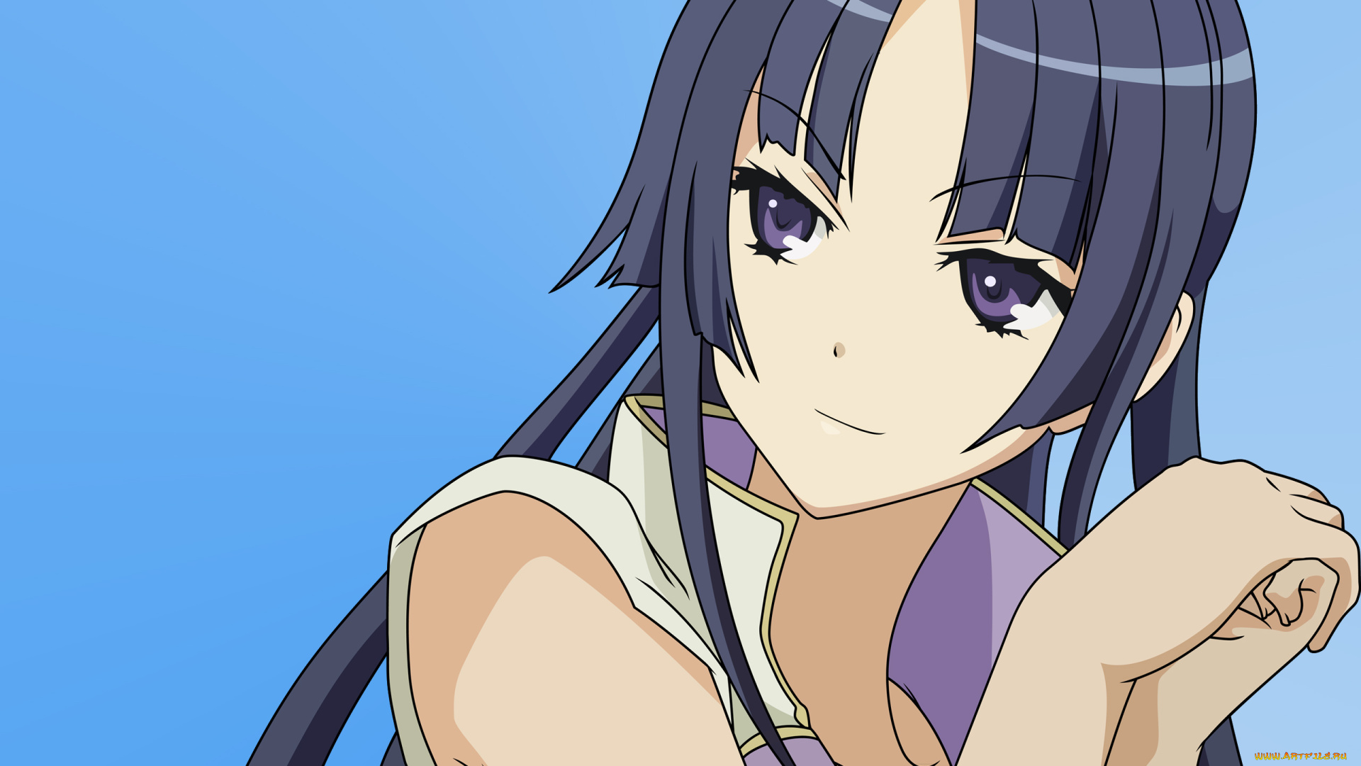 аниме, ookami, san, to, shichinin, no, nakama, tachi