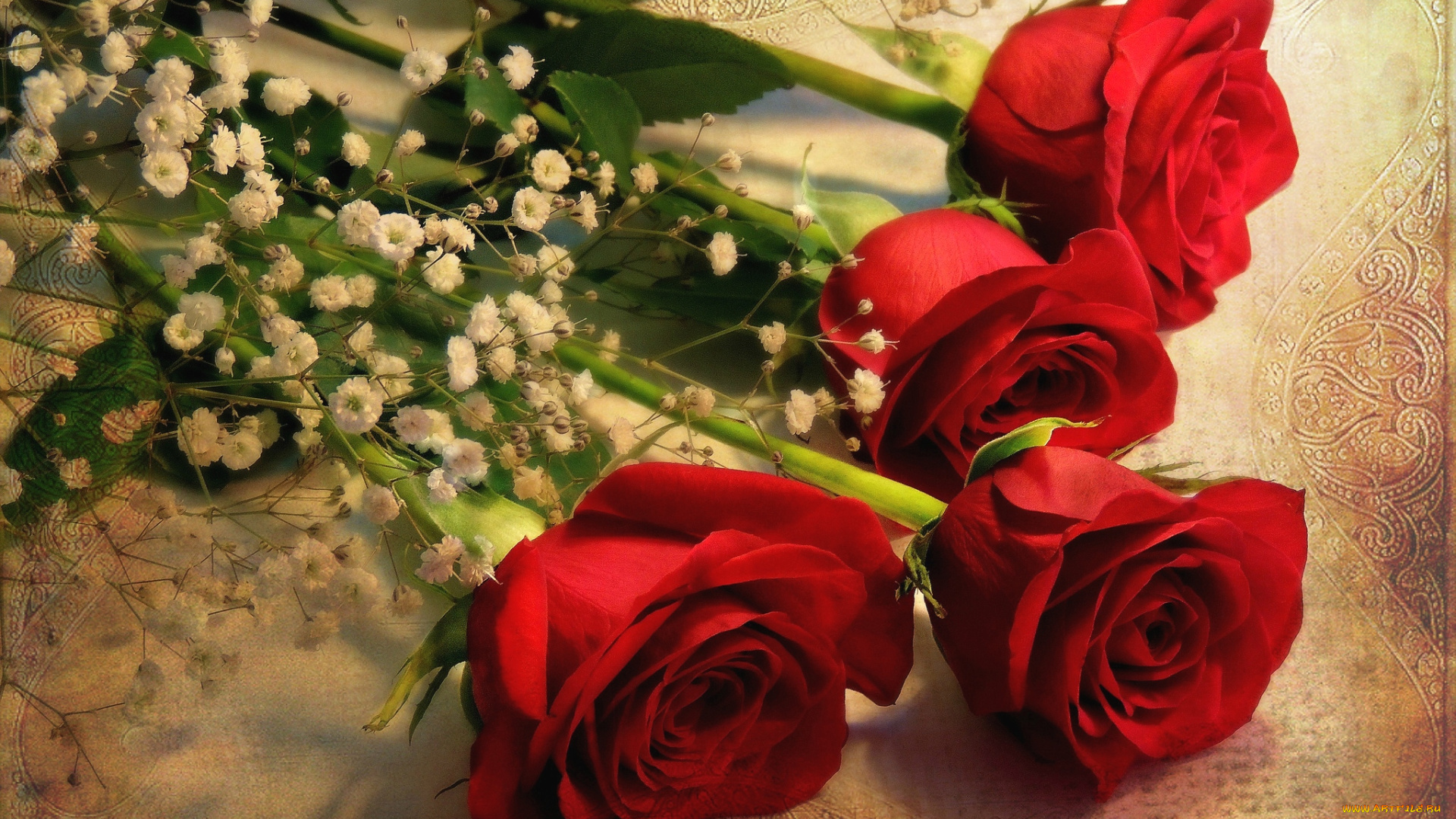 цветы, розы, красный, гипсофила, стебли