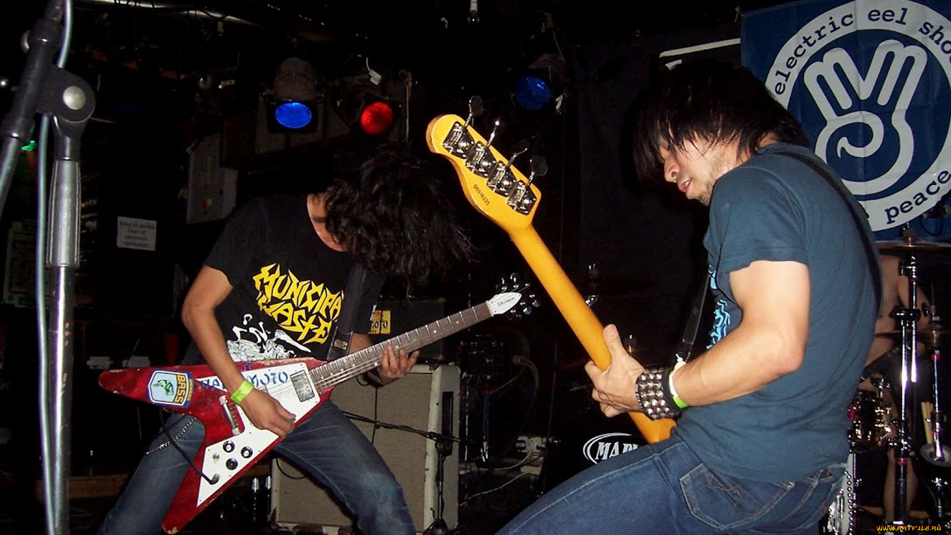 electric, eel, shock, музыка, другое, музыканты, группа