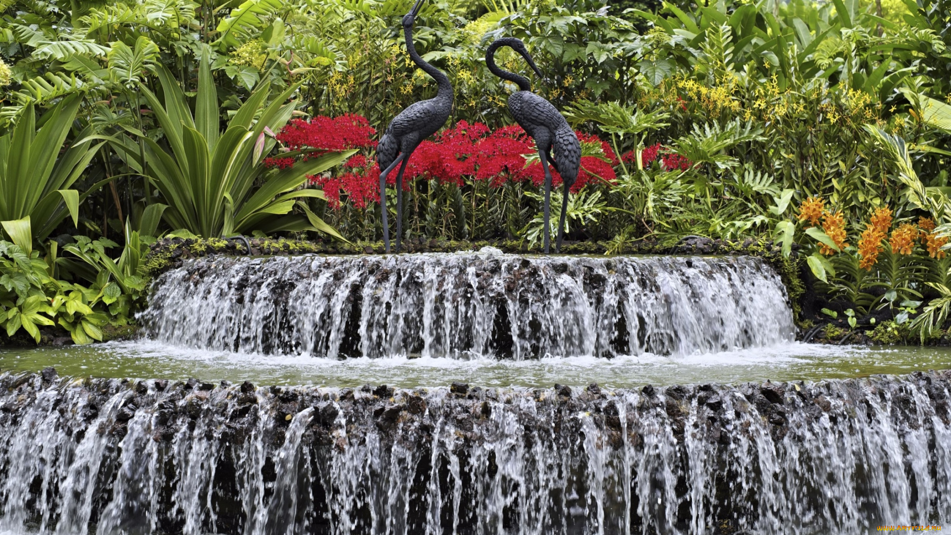 города, фонтаны, вода, журавли, цветы
