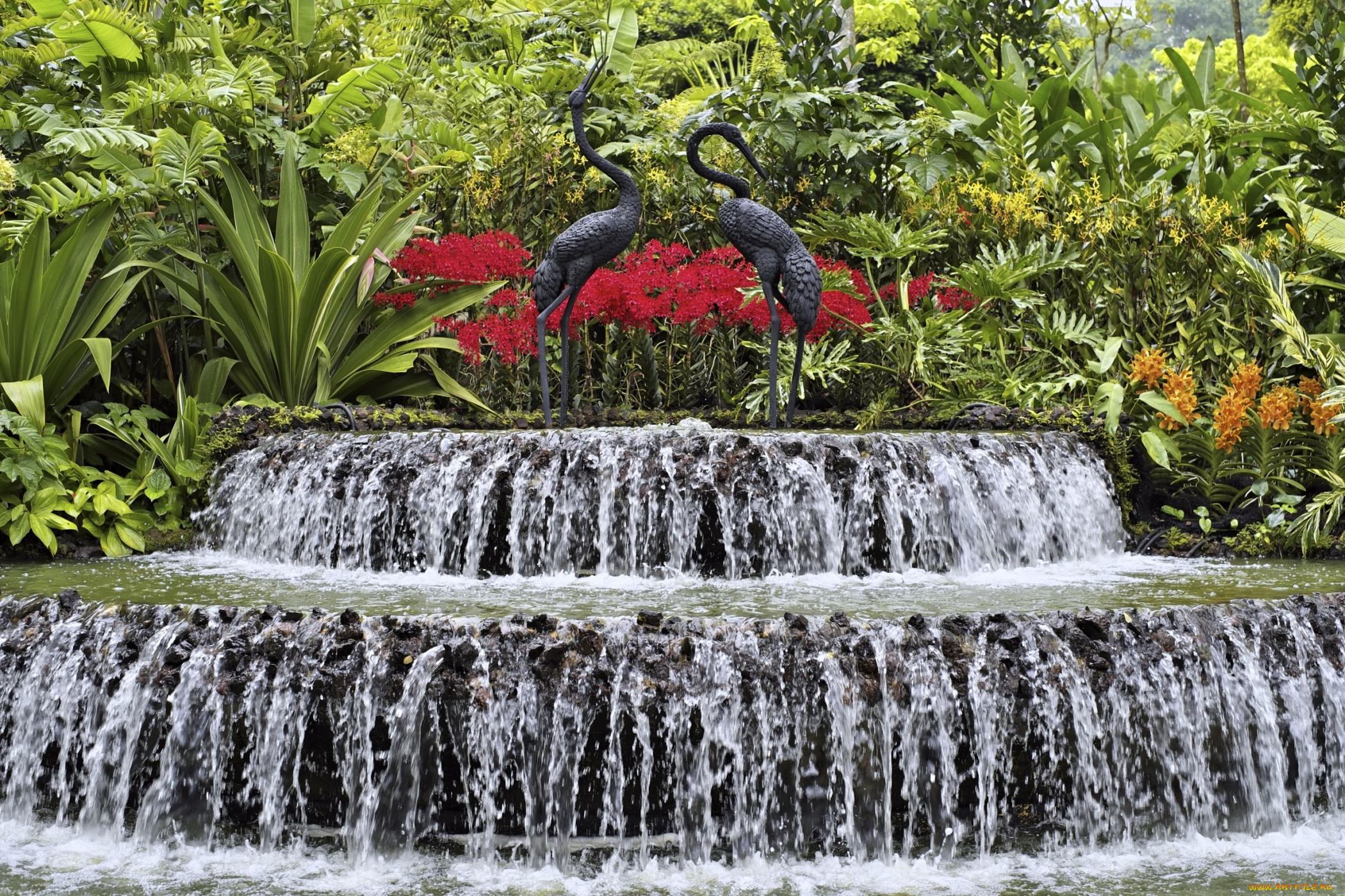 города, фонтаны, вода, журавли, цветы