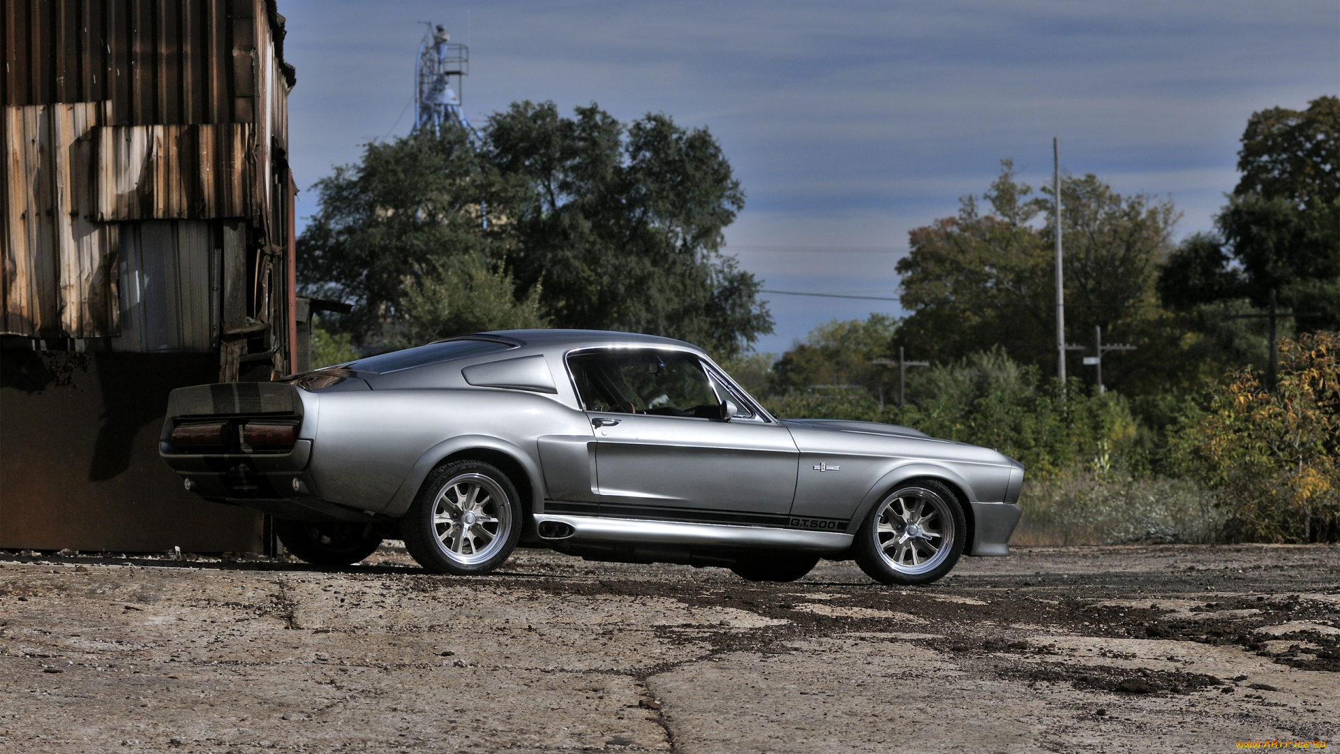 автомобили, mustang