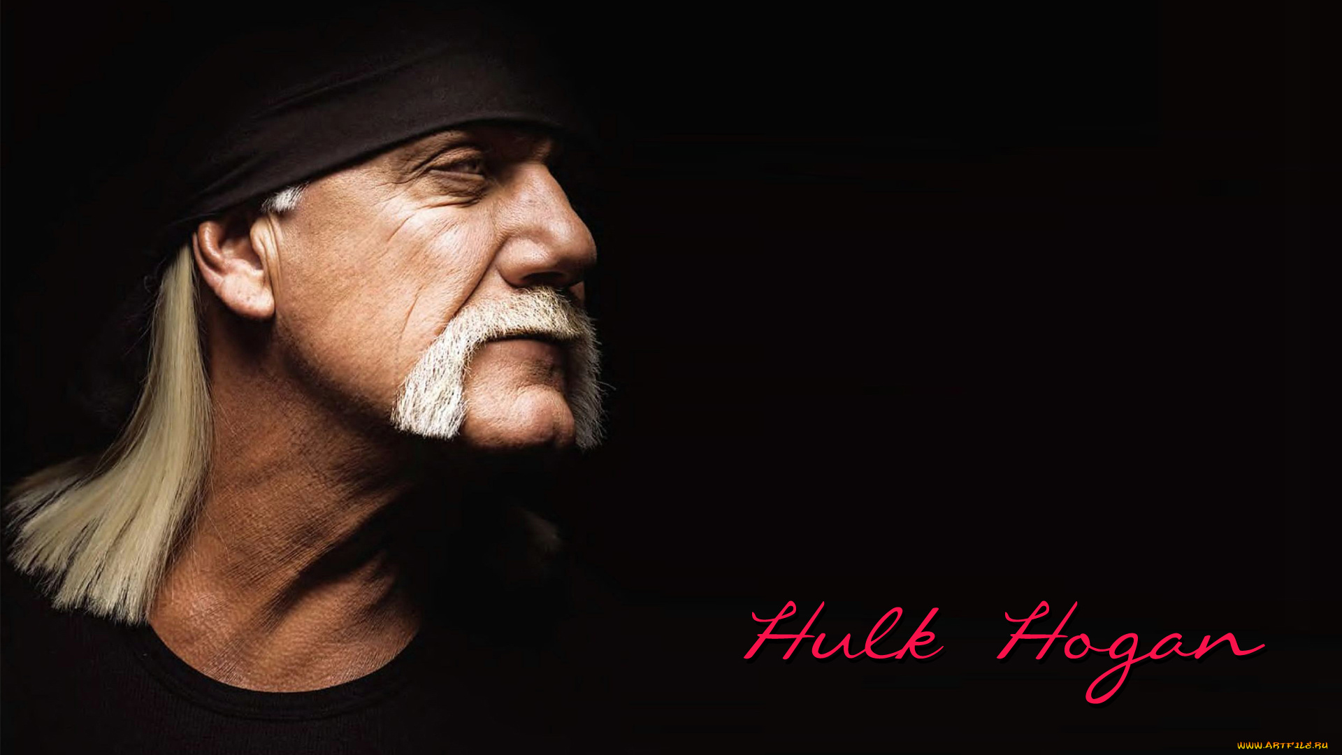 спорт, wwe, hogan, hulk, legend