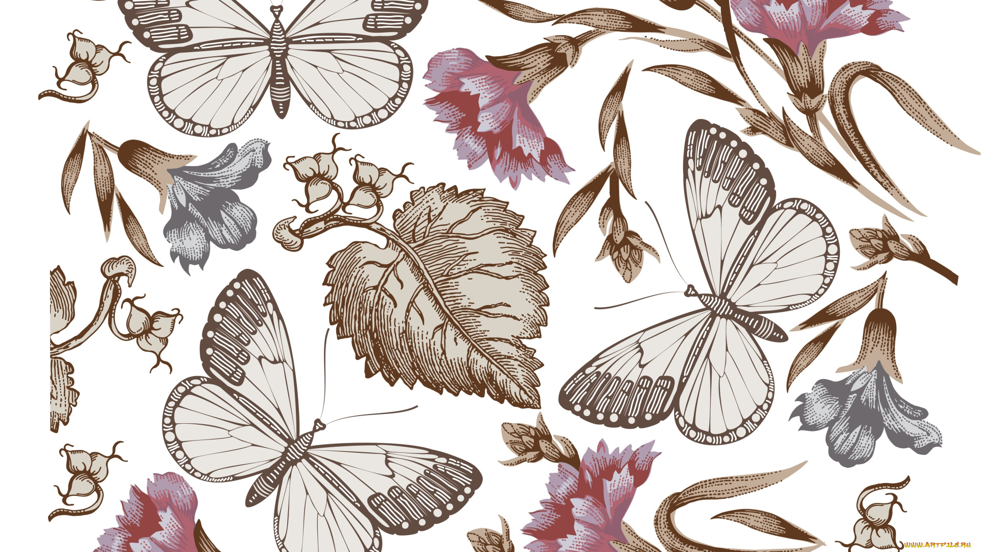 векторная, графика, цветы, листья, лепестки, бабочки, фон