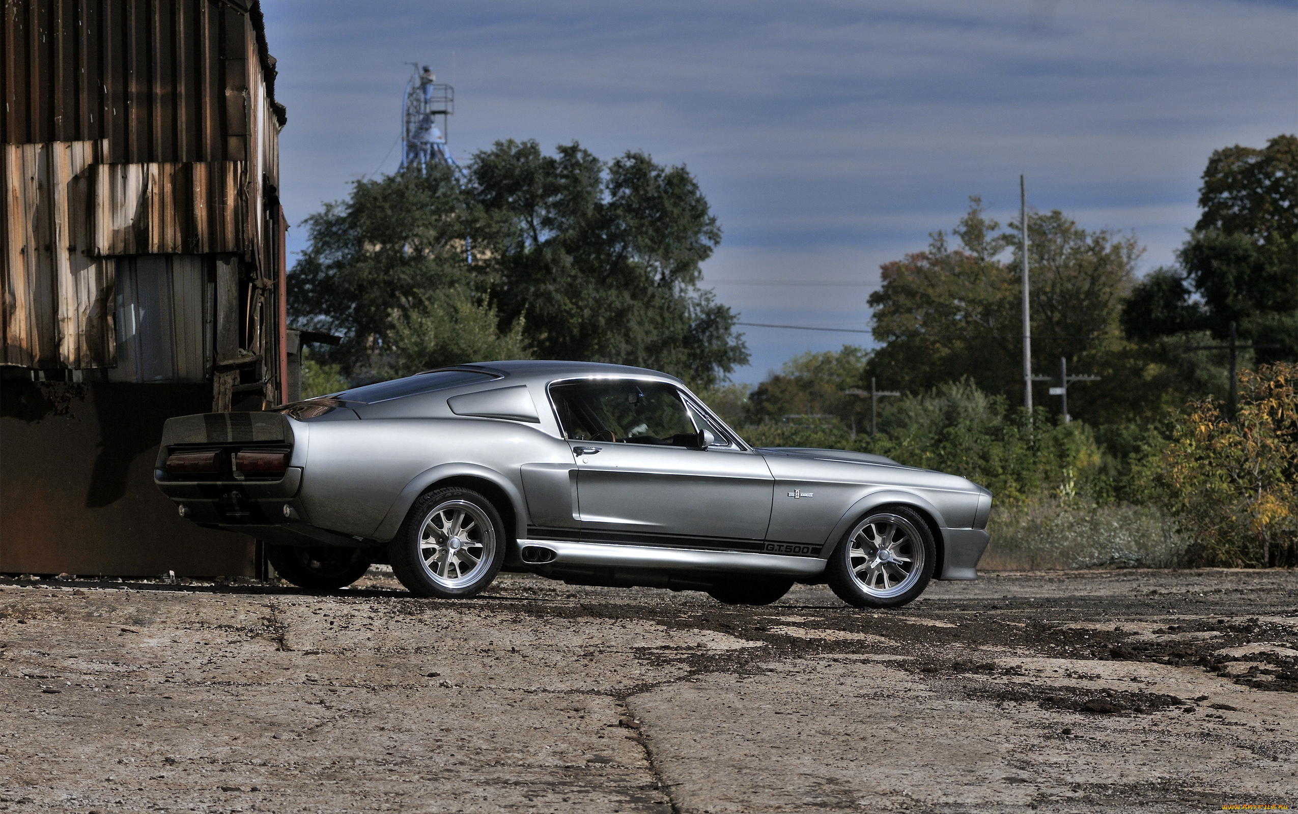 автомобили, mustang