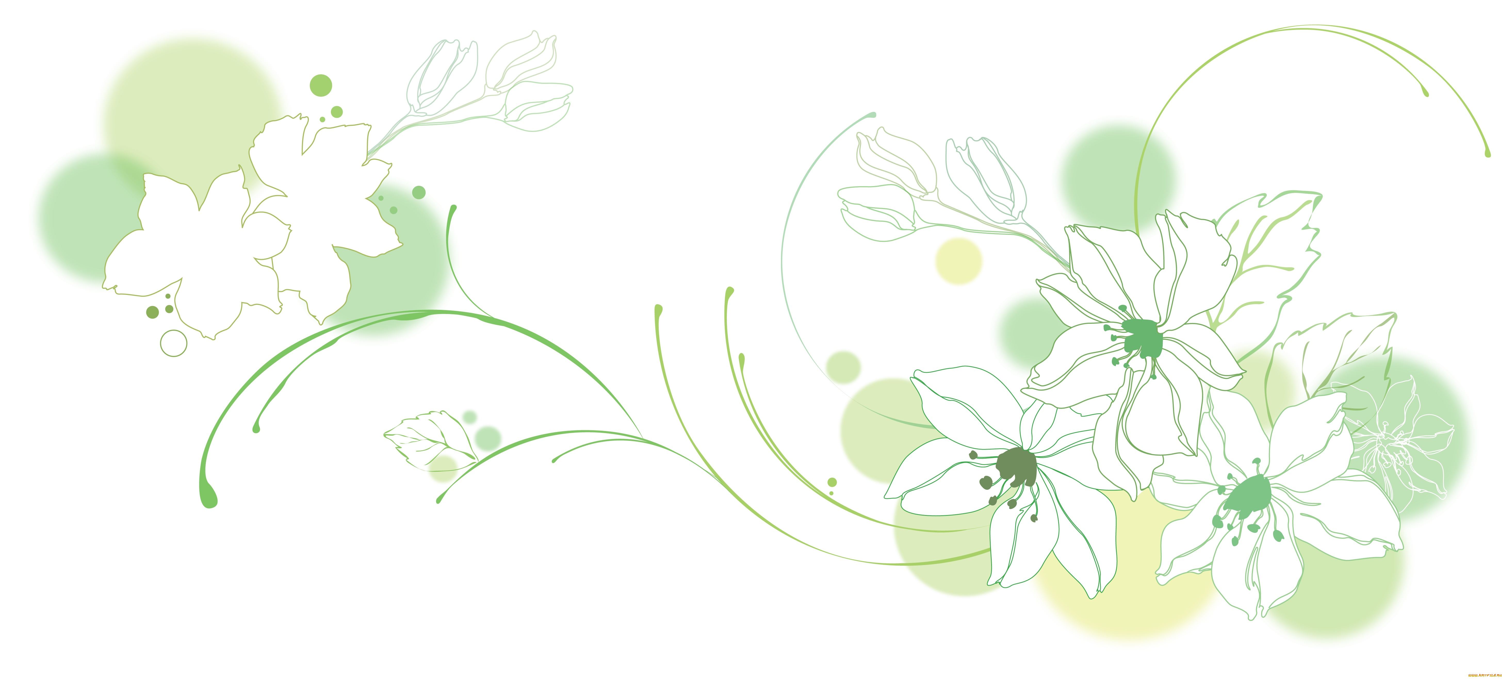 векторная, графика, цветы, фон, листья, лепестки