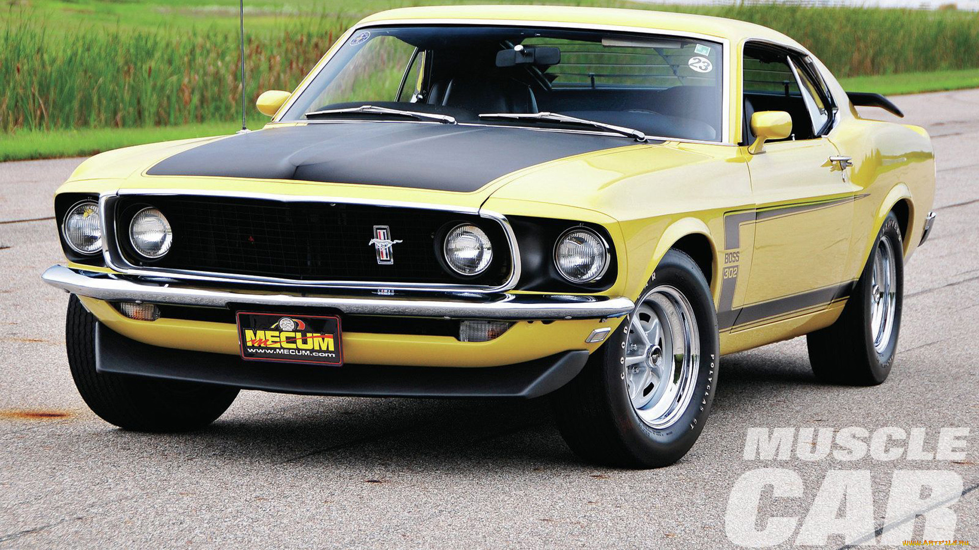 автомобили, mustang