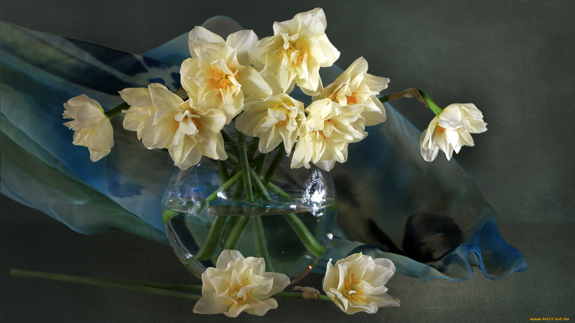 цветы, нарциссы, натюрморт, букет
