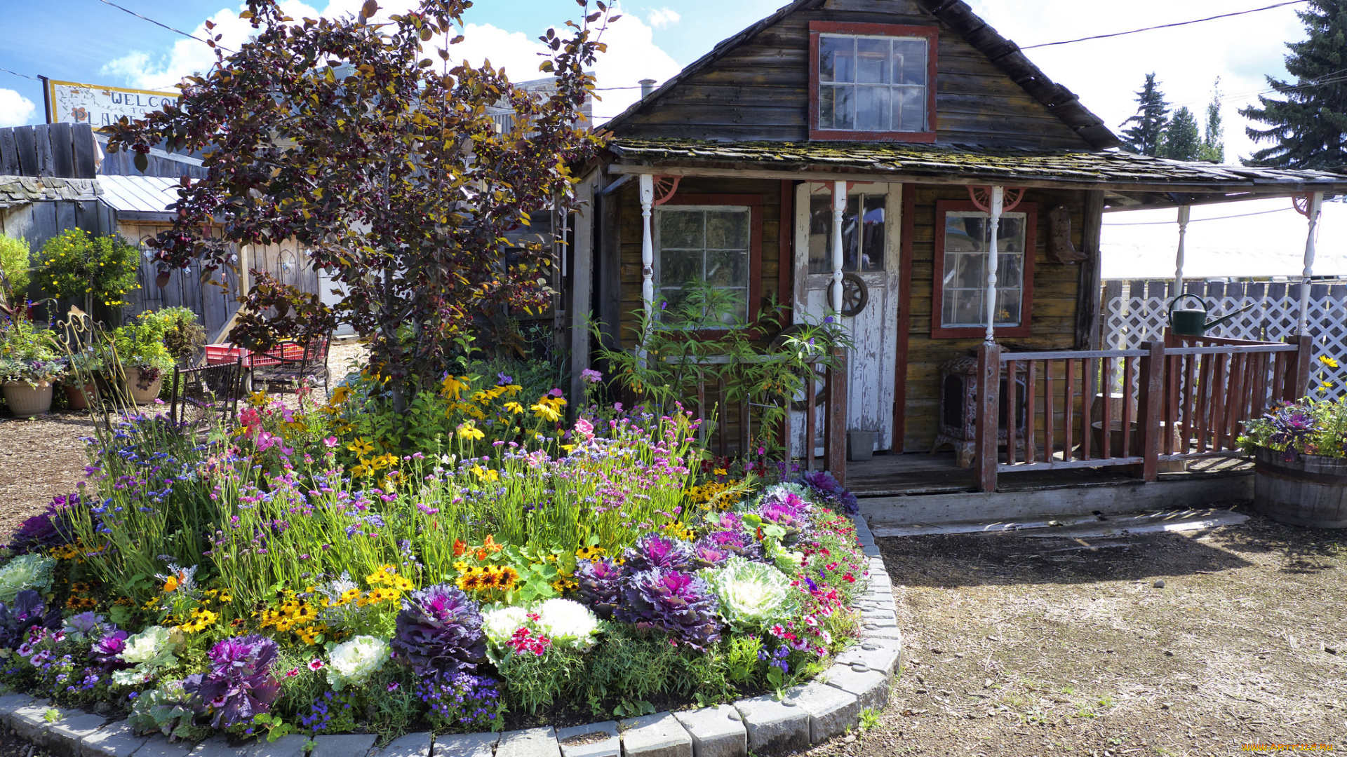 города, -, здания, , дома, цветы, клумба, дом