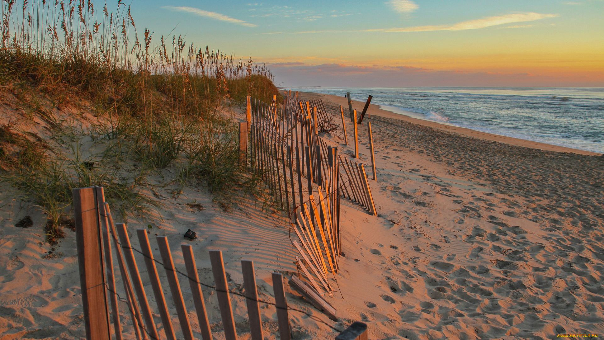 природа, побережье, изгородь, пляж