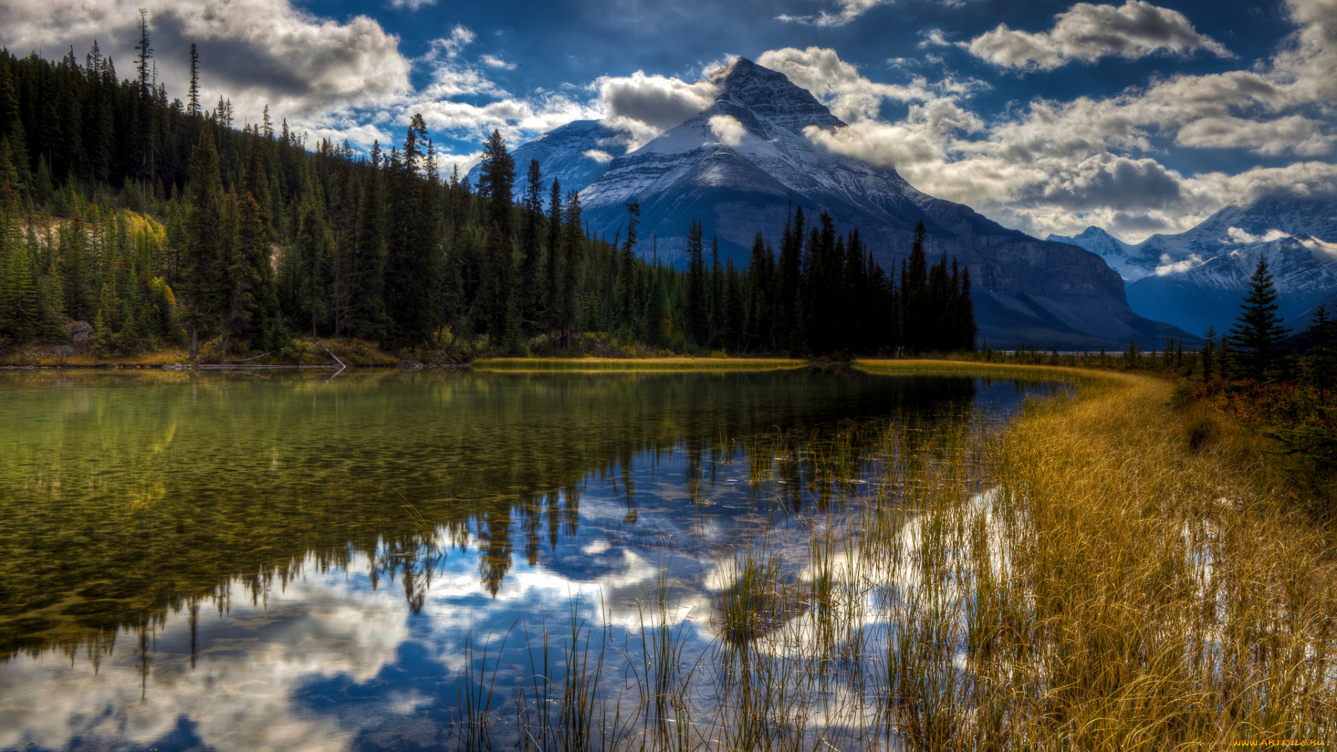 природа, реки, озера, горы, лес, река