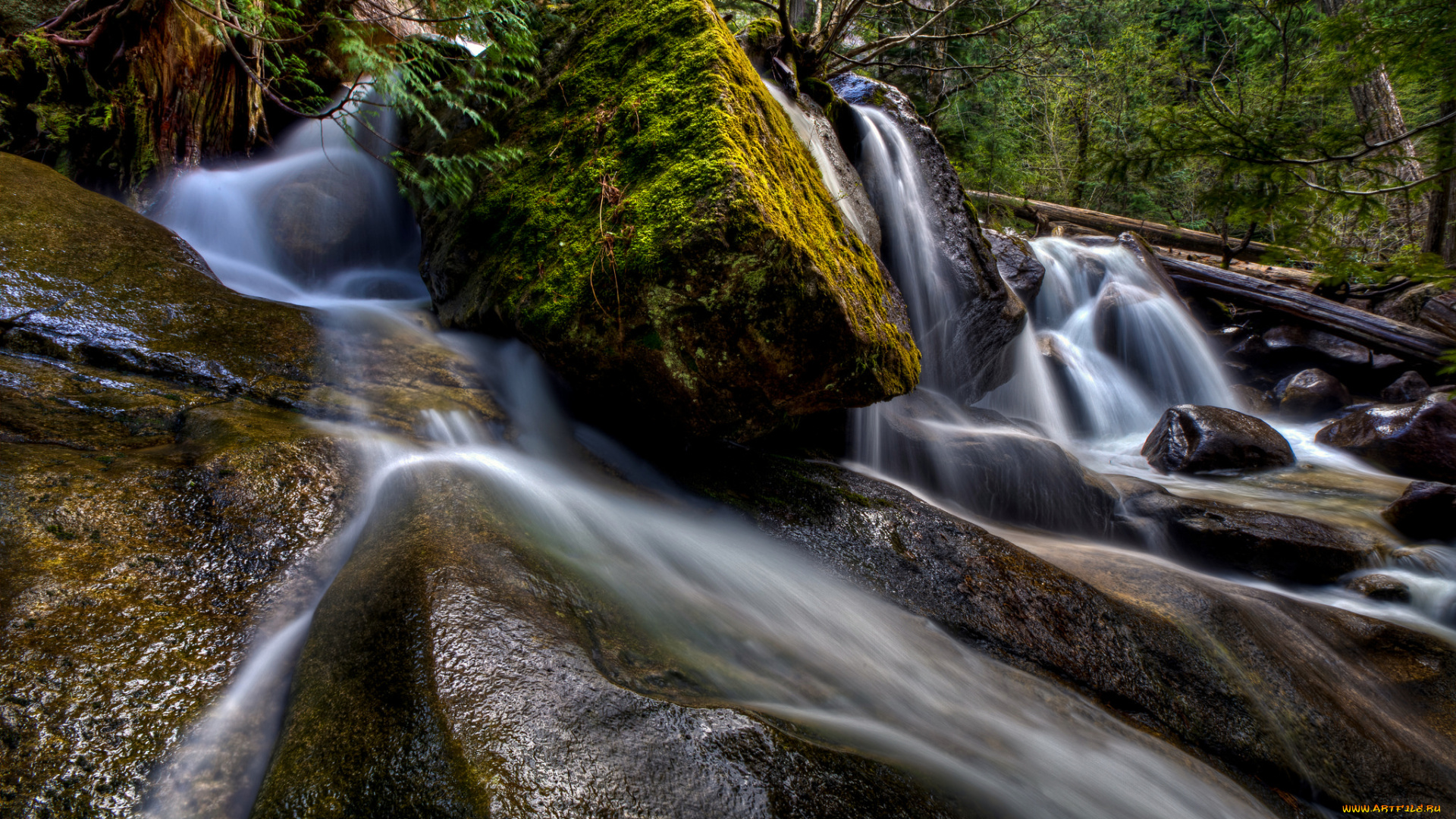 природа, водопады, лес, река, водопад