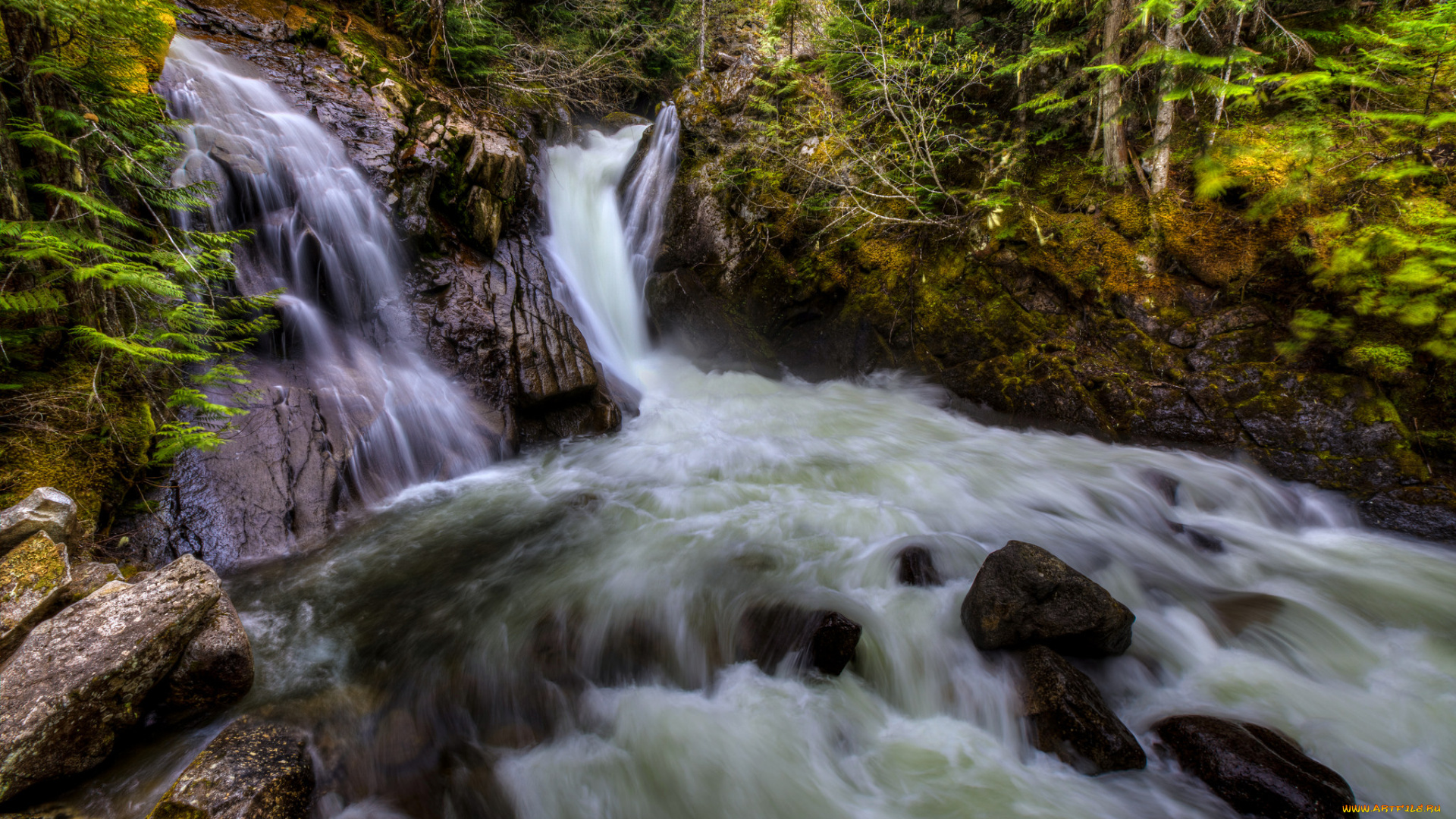 природа, водопады, лес, река, водопад