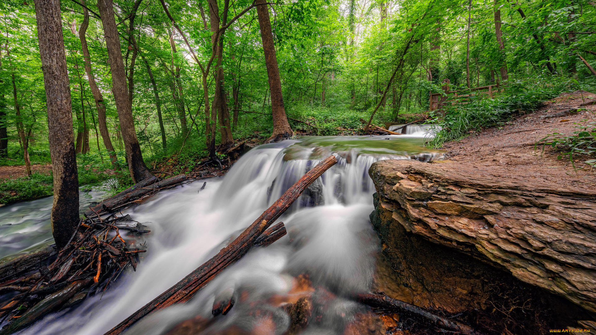 природа, водопады, водопад, река, лес