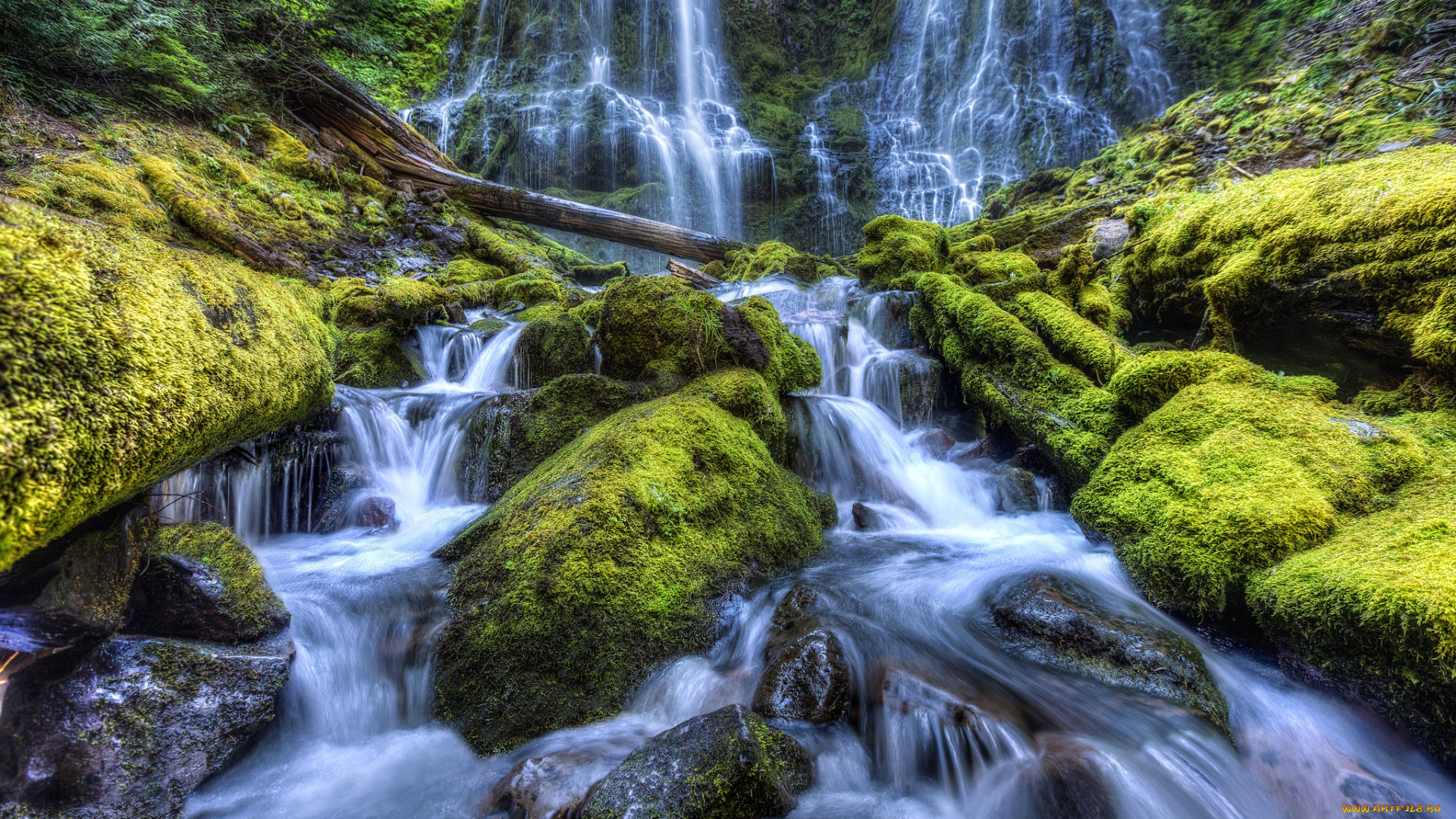 природа, водопады, водопад, река, лес