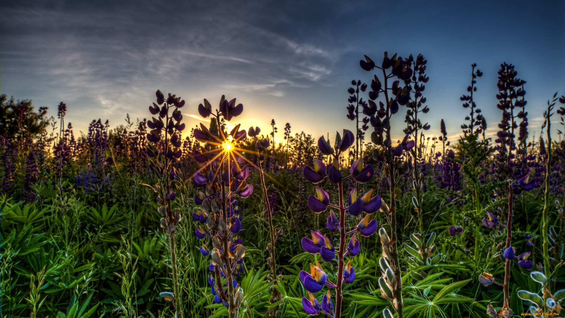 природа, восходы, закаты, рассвет