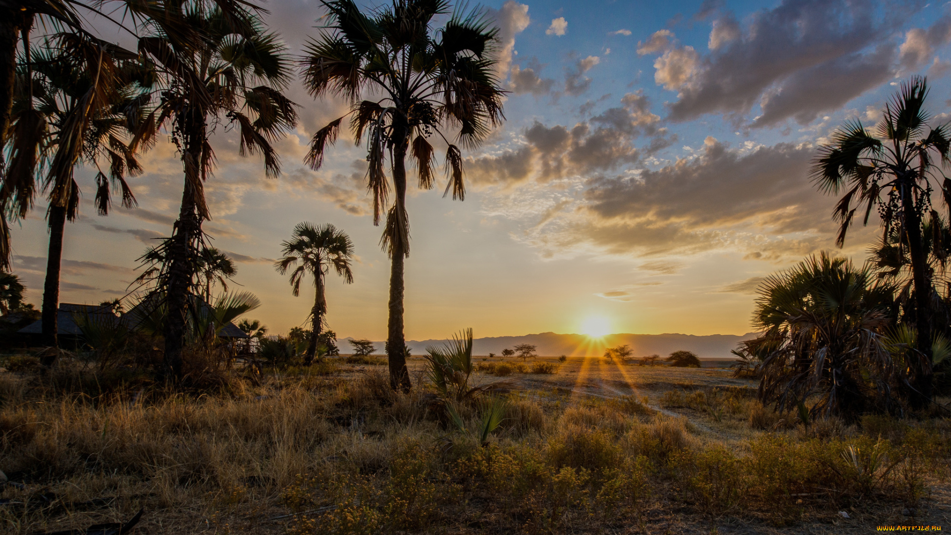 природа, восходы, закаты, рассвет