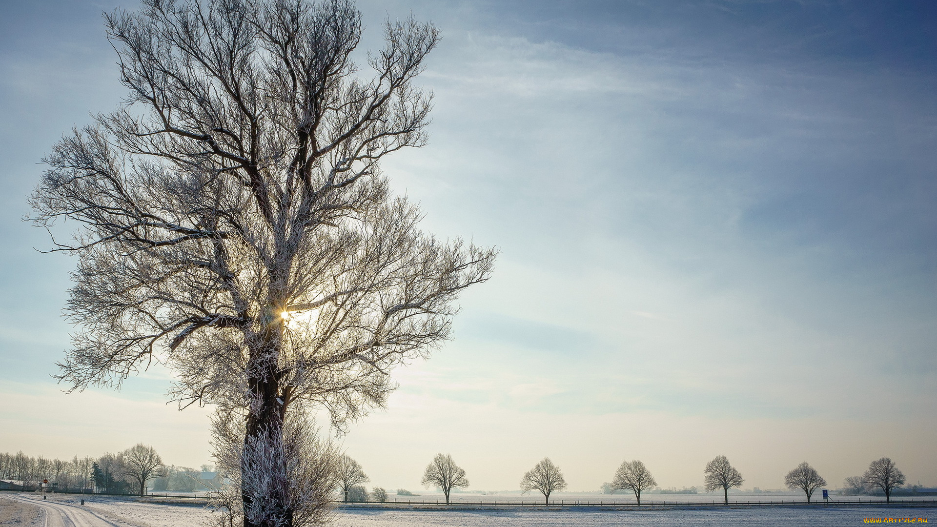 природа, зима, дорога, дерево, снег