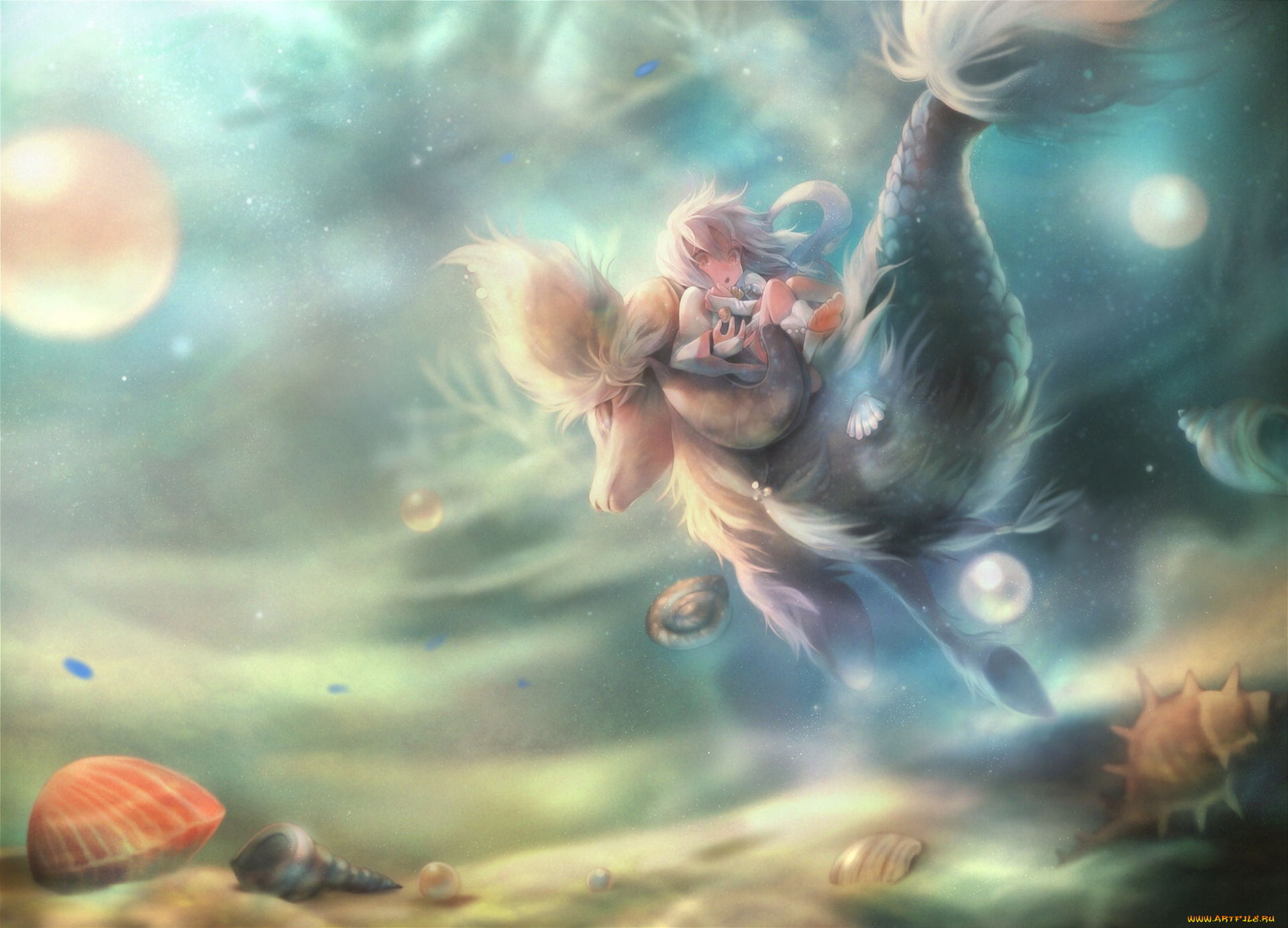аниме, животные, , существа, sui, petit, comet, девушка, ракушки